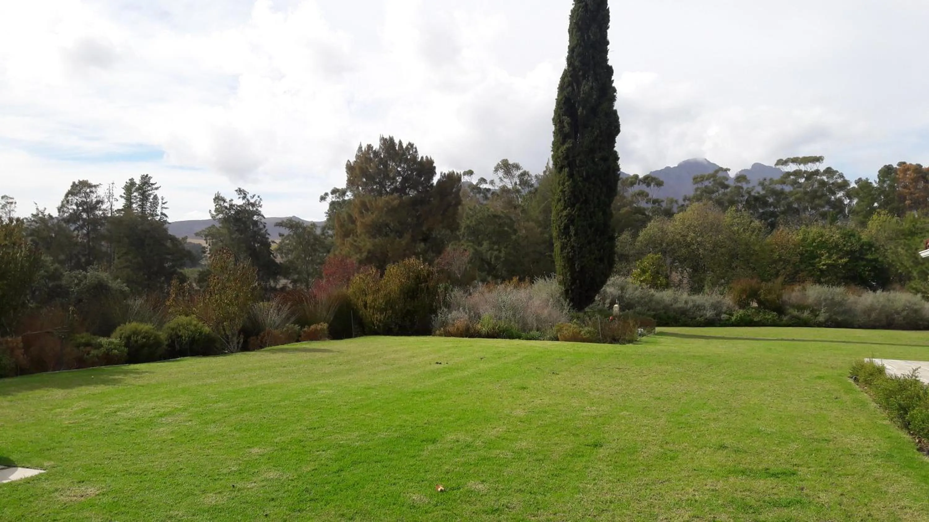 Garden view in Slaley Country House