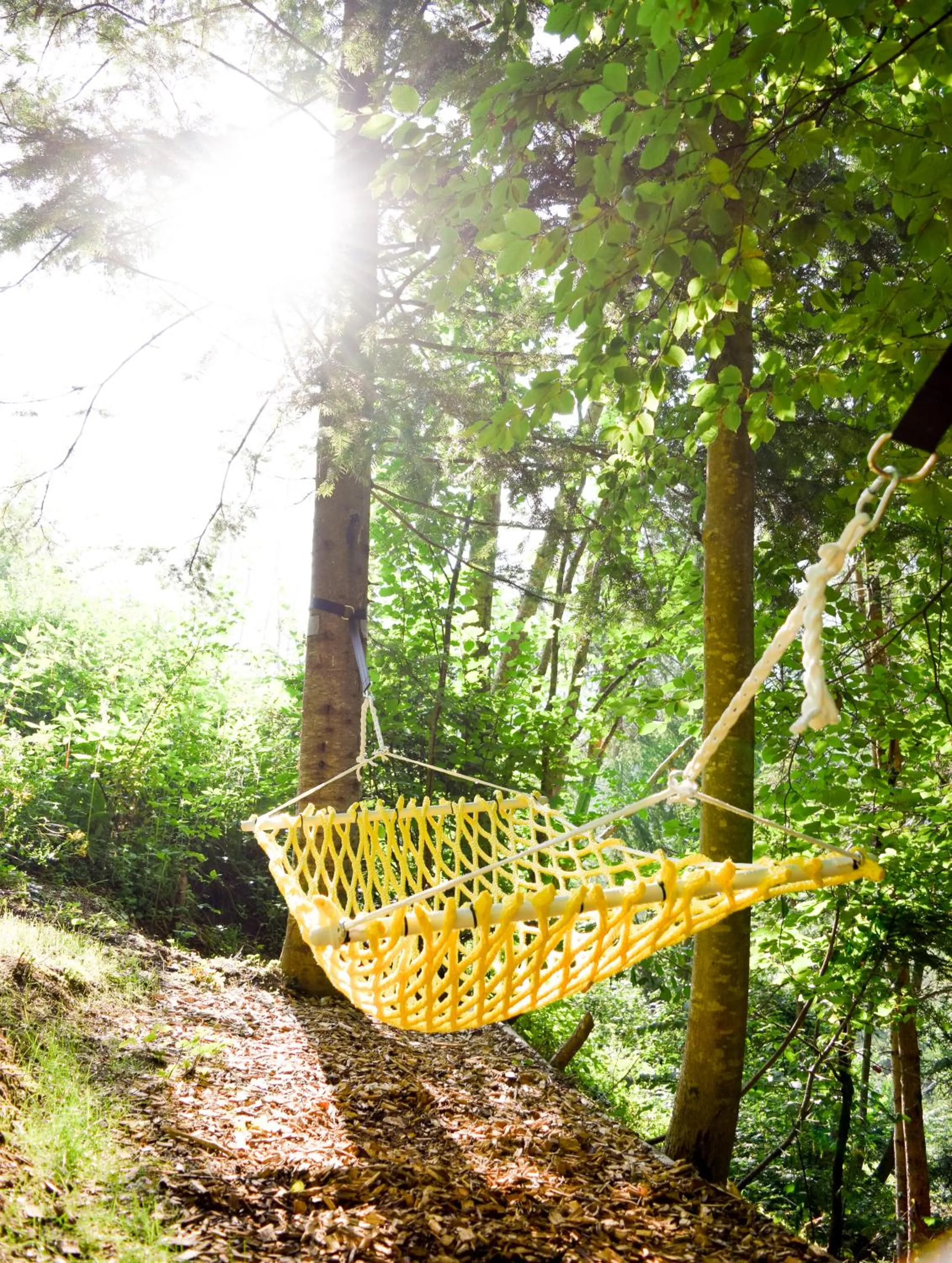 Natural landscape in Hotel Bad Rain mit Oberstaufen PlusGolf