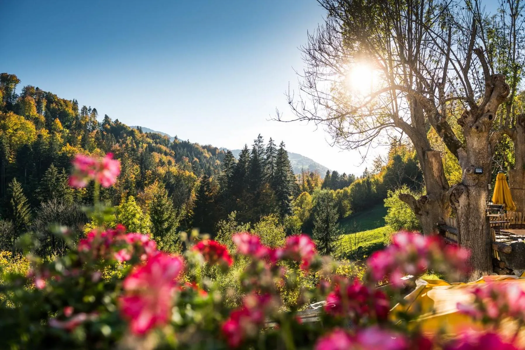 View (from property/room) in Hotel Bad Rain mit Oberstaufen PlusGolf