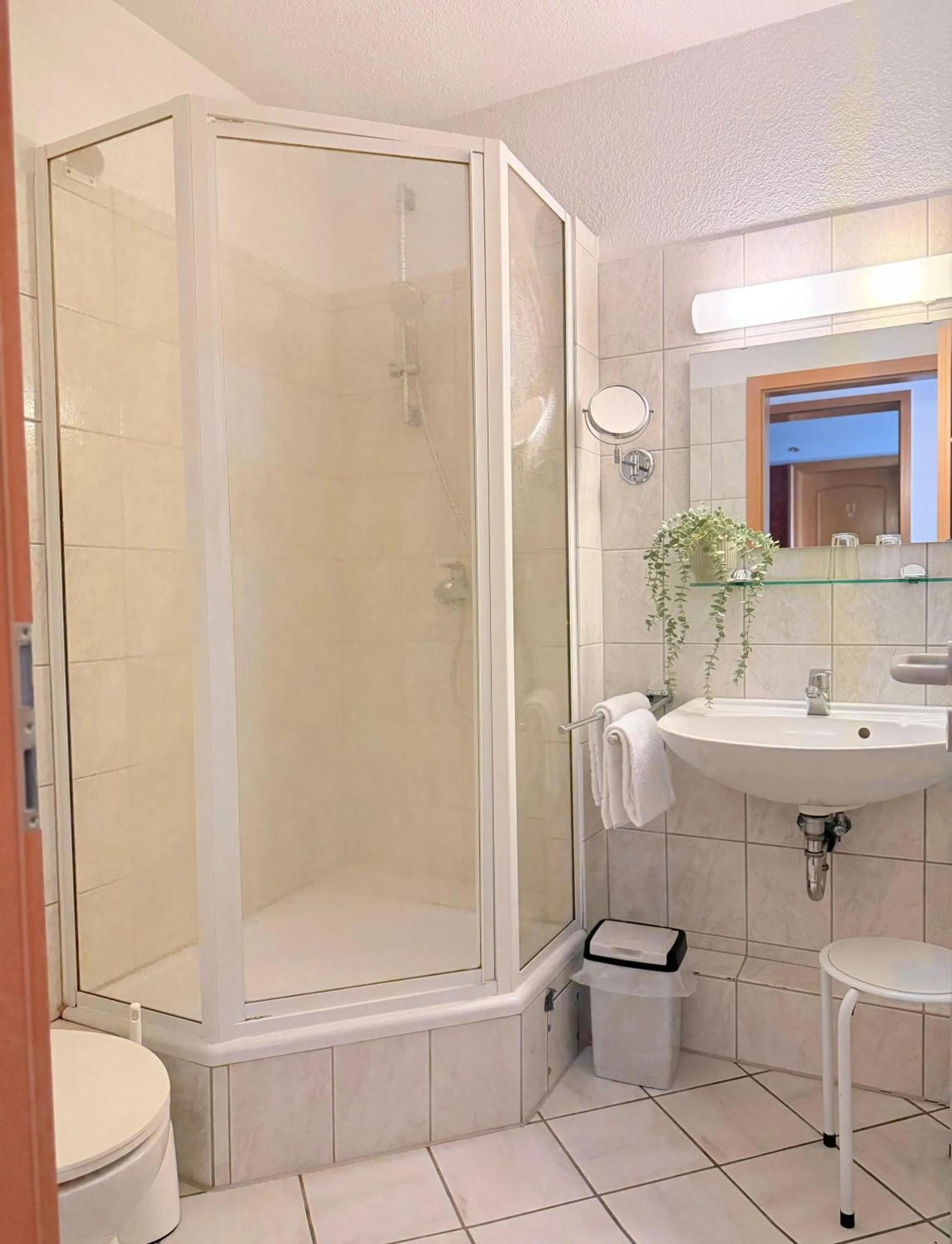 Shower in Hotel Alt Oesselse