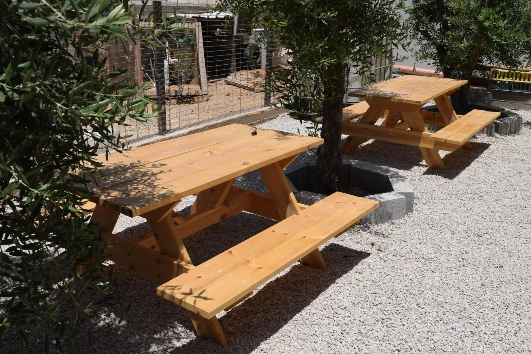 Garden view in Khan Alsira - חאן אלסרה