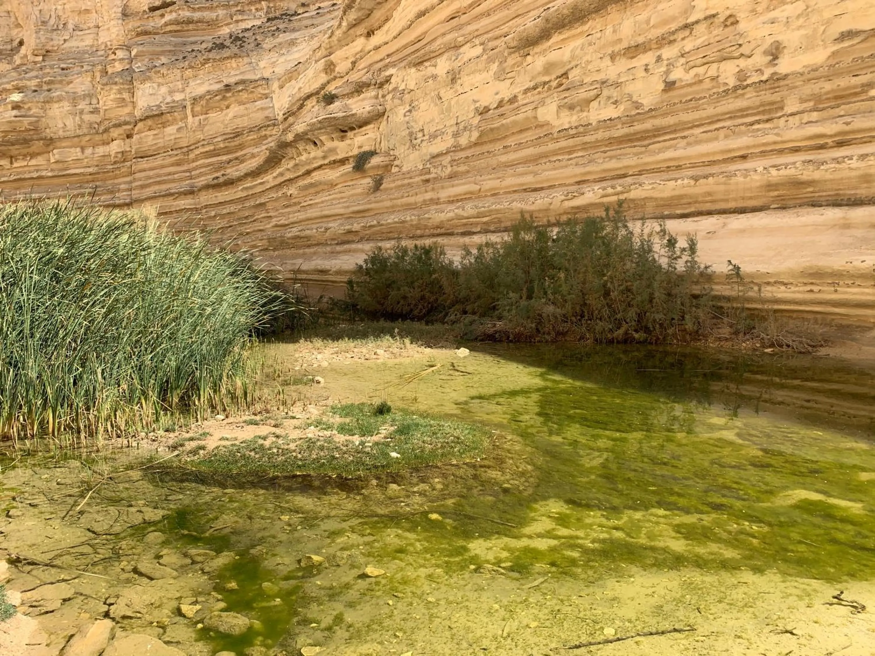 Hiking in Khan Alsira - חאן אלסרה