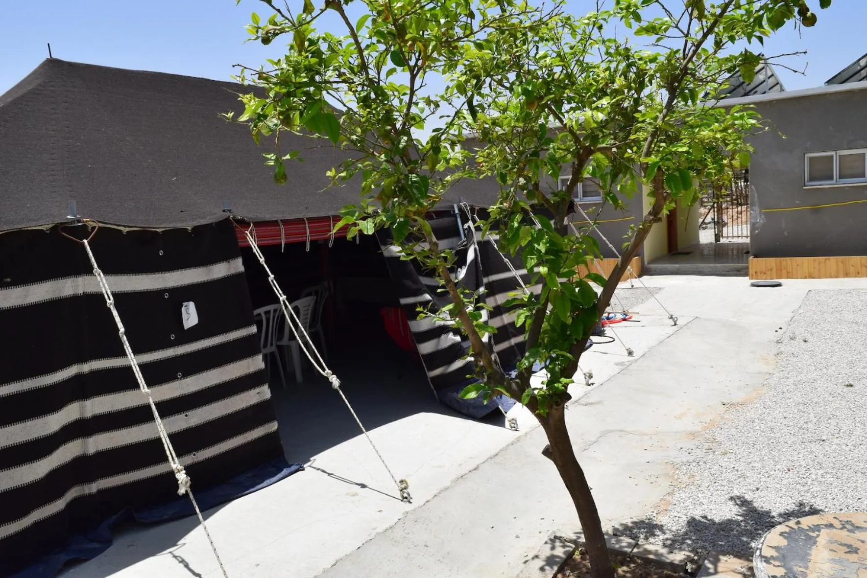 Spring in Khan Alsira - חאן אלסרה