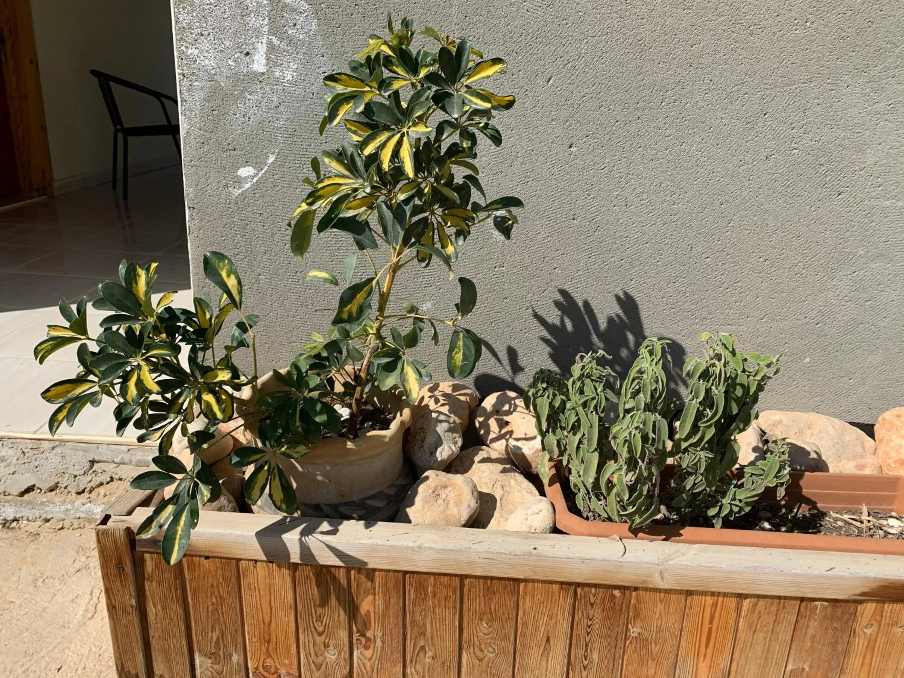 Garden in Khan Alsira - חאן אלסרה