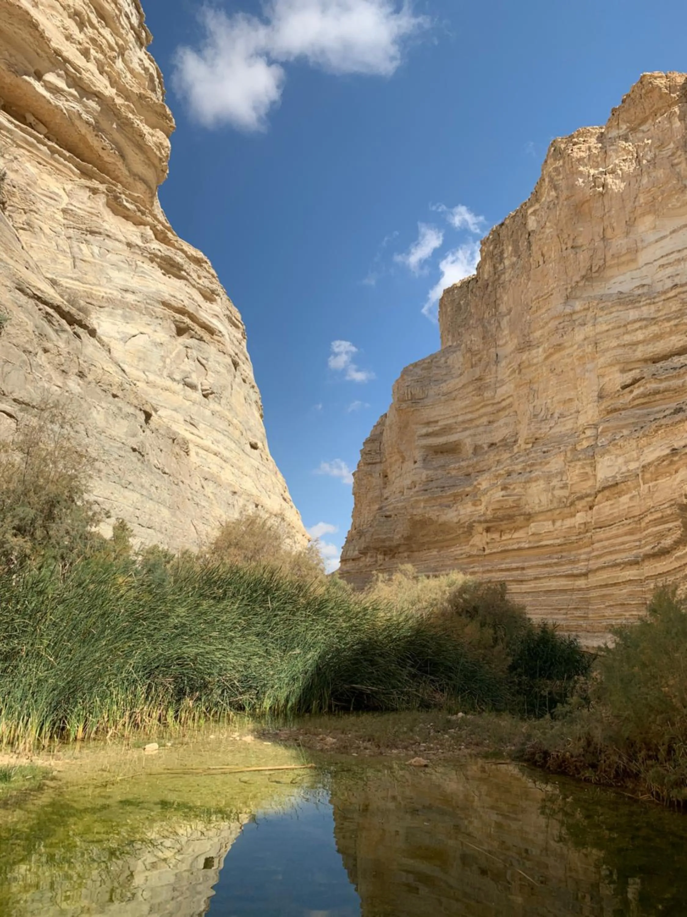 Hiking in Khan Alsira - חאן אלסרה