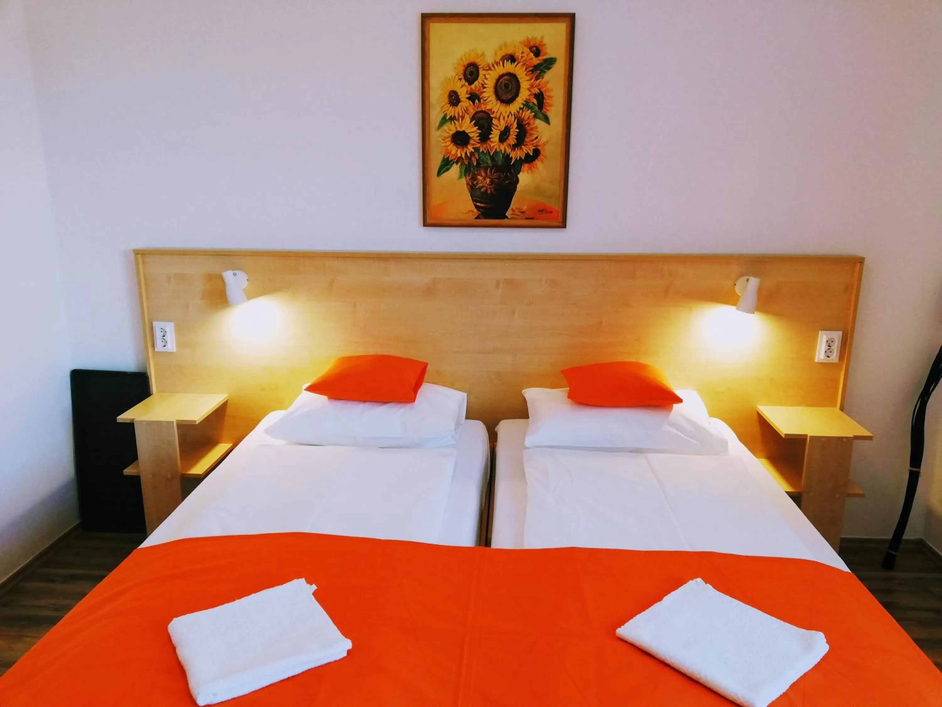 Twin Room with Garden View - single occupancy in Lótuszvirág Vendégház