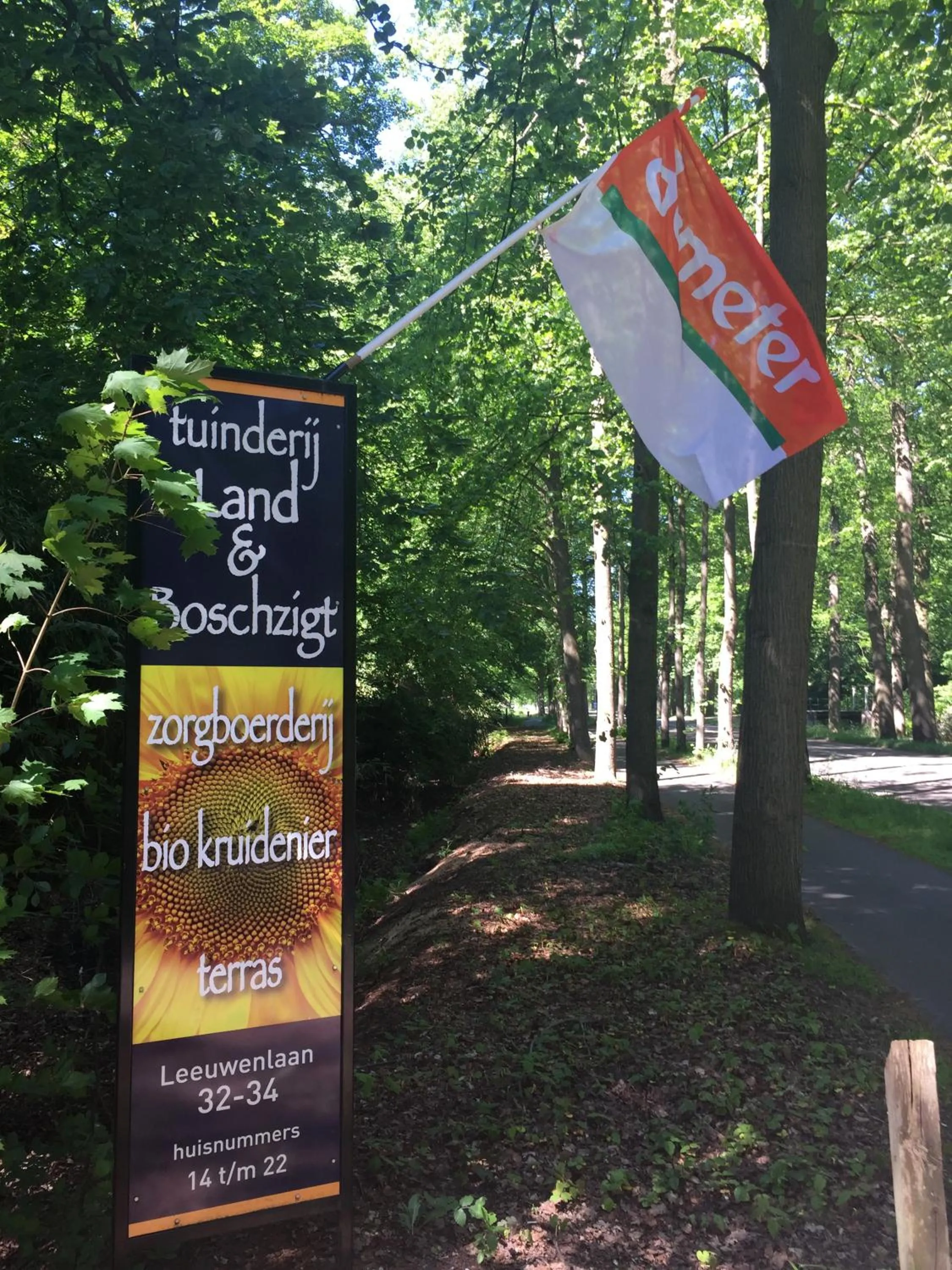 Activities in Art+bed and breakfast