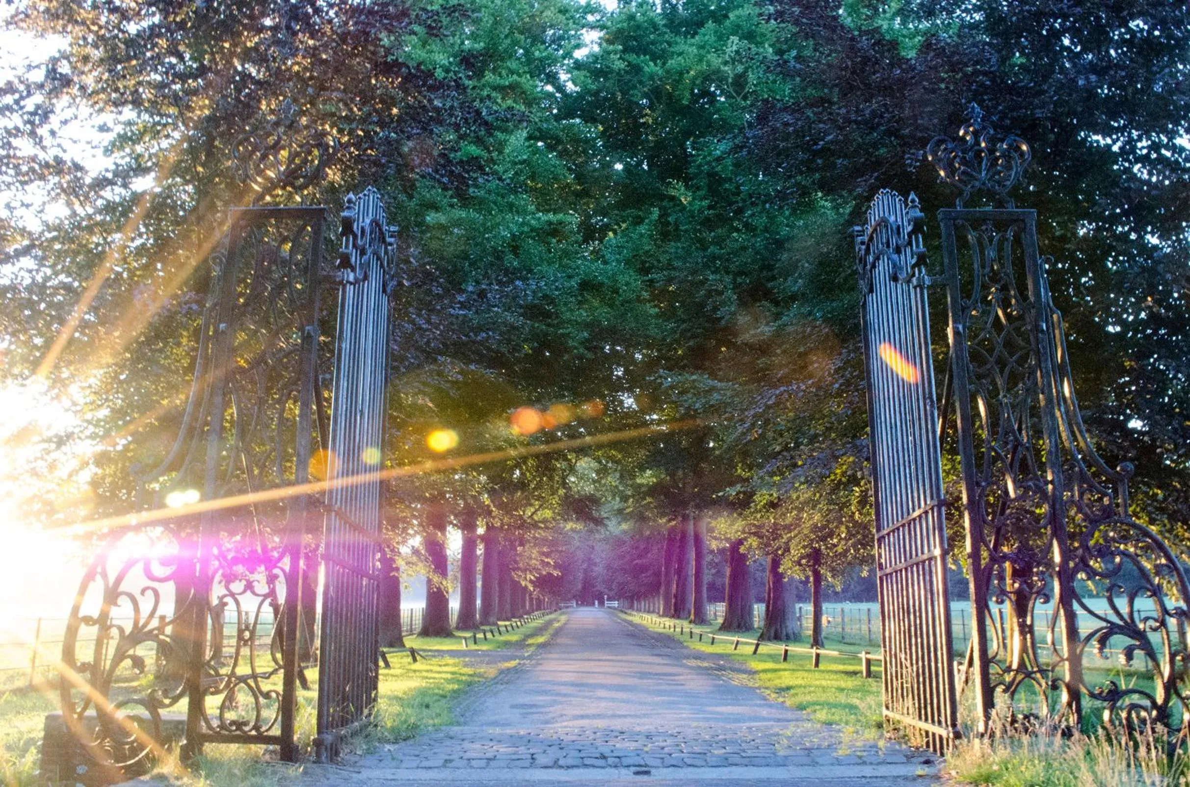 Neighbourhood in Art+bed and breakfast