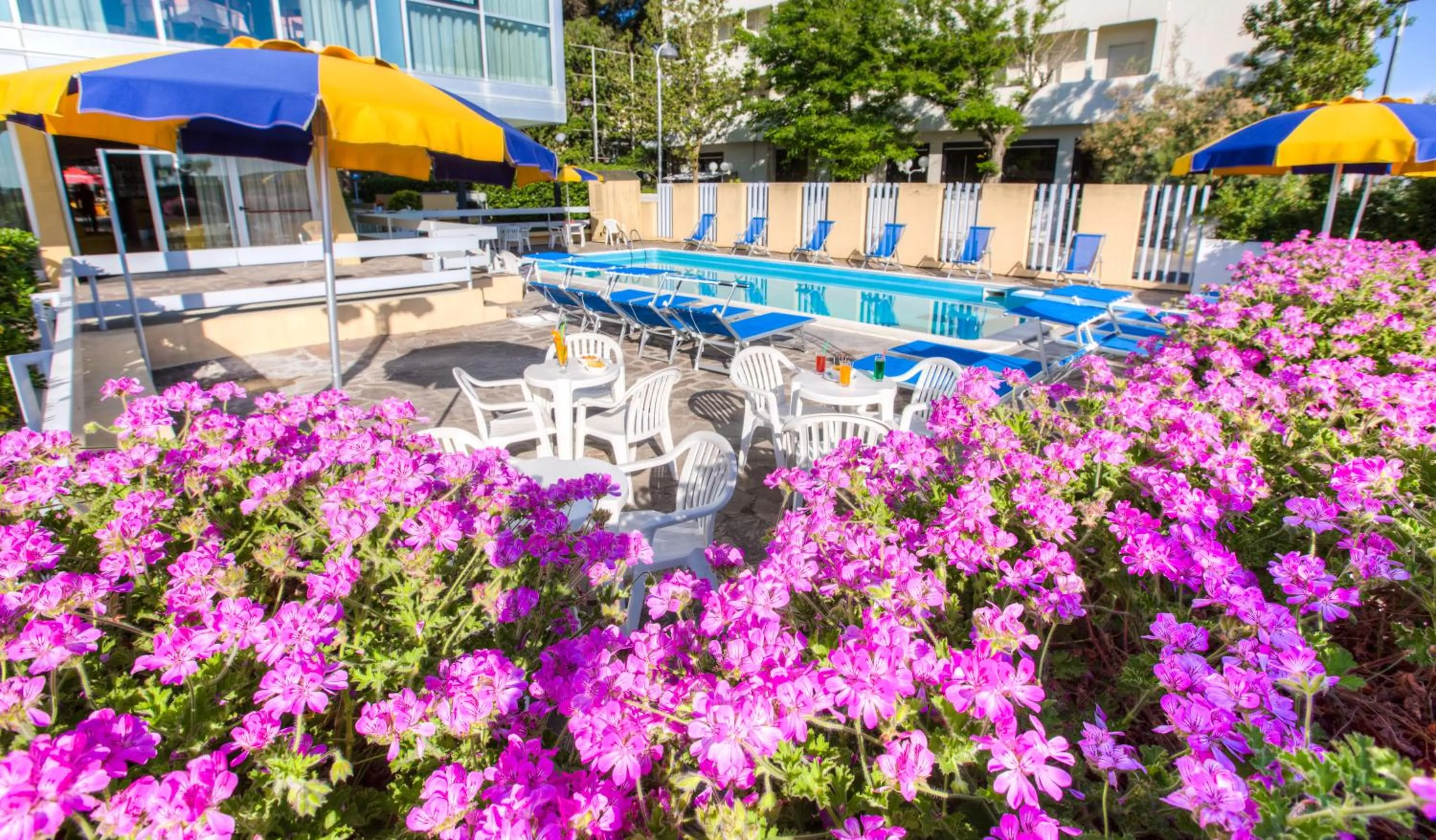 Pool view in Hotel Tilmar