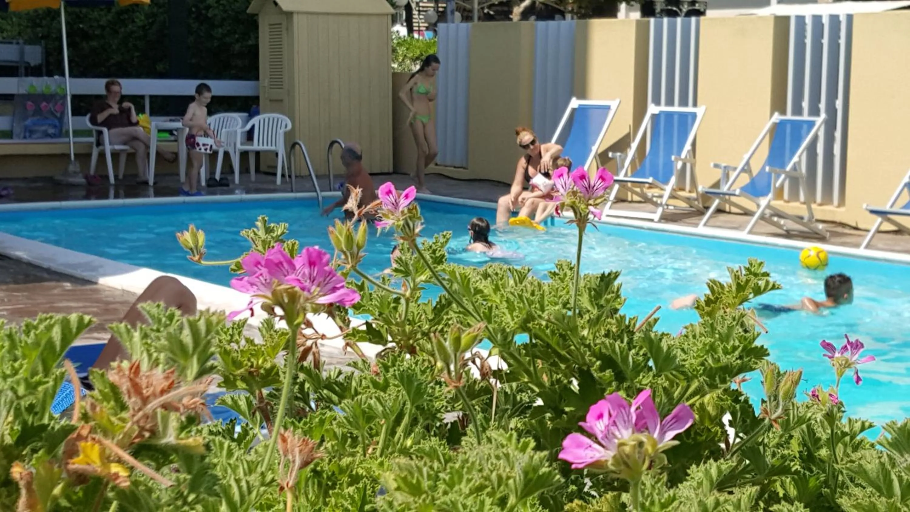 Pets in Hotel Tilmar