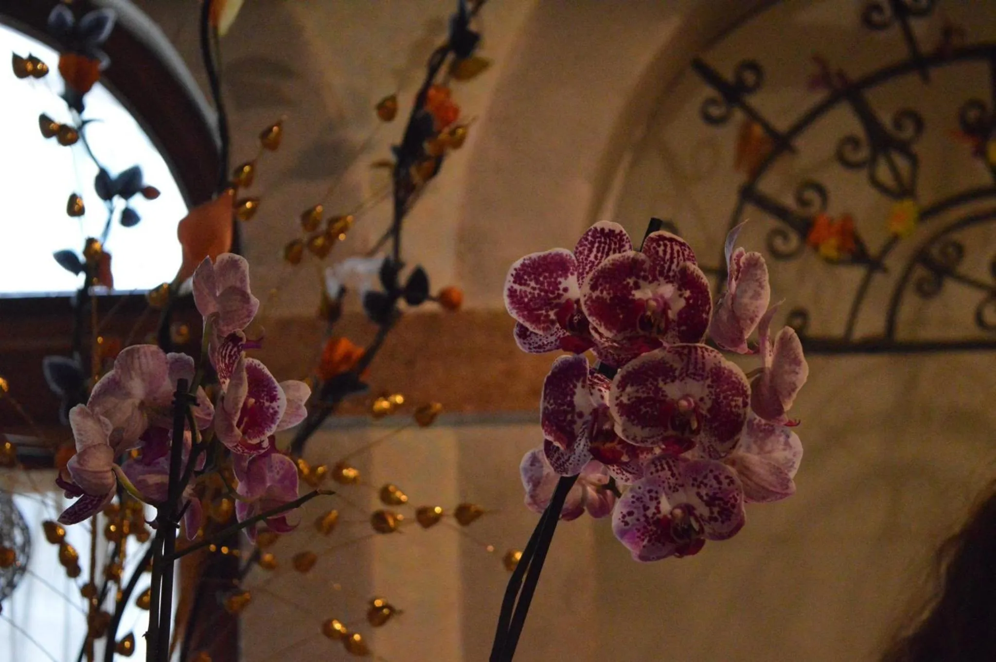 Restaurant/places to eat in Ristorante Pizzeria al Mondo