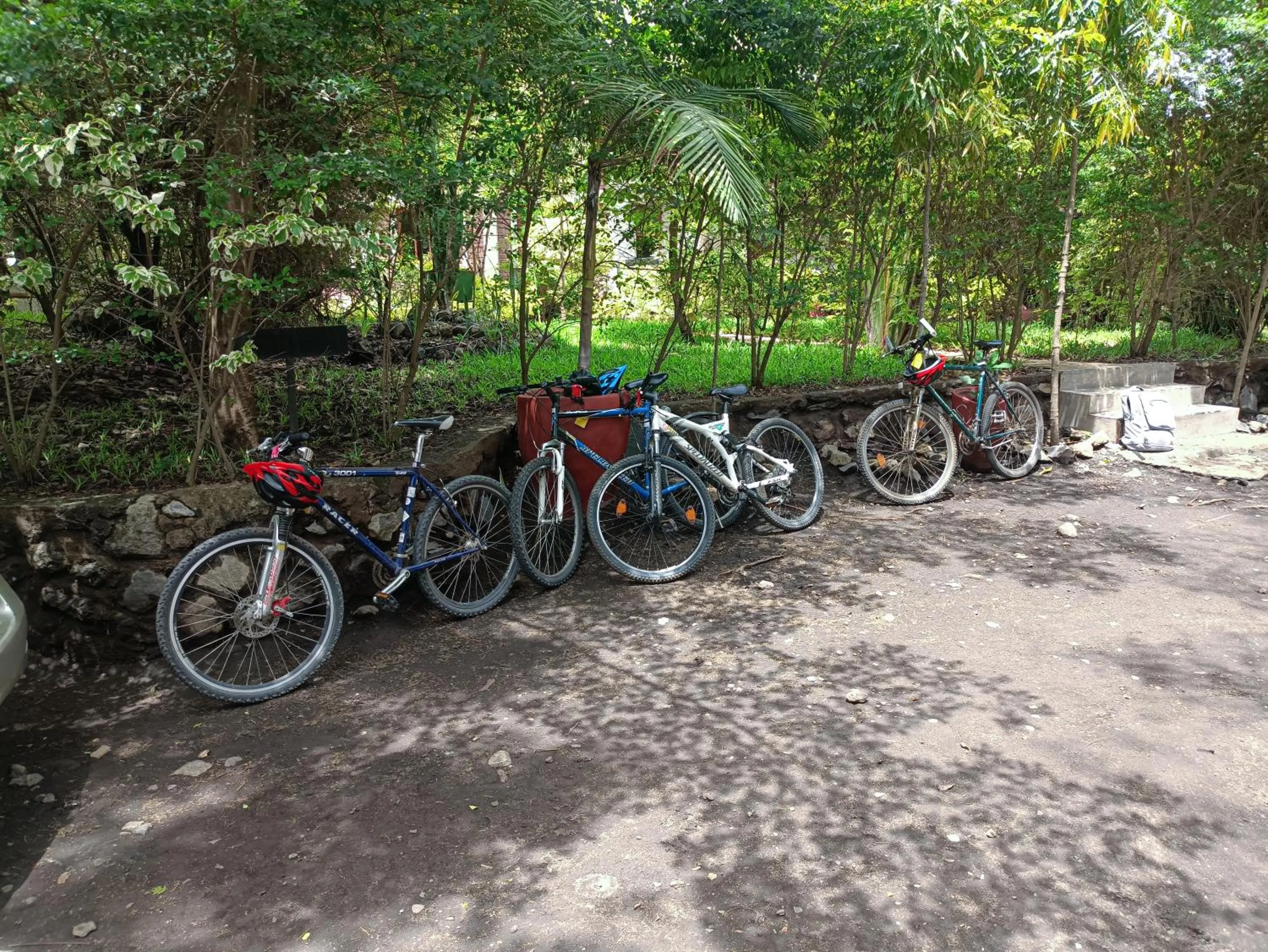 Cycling in Endasawa Tree Lodge