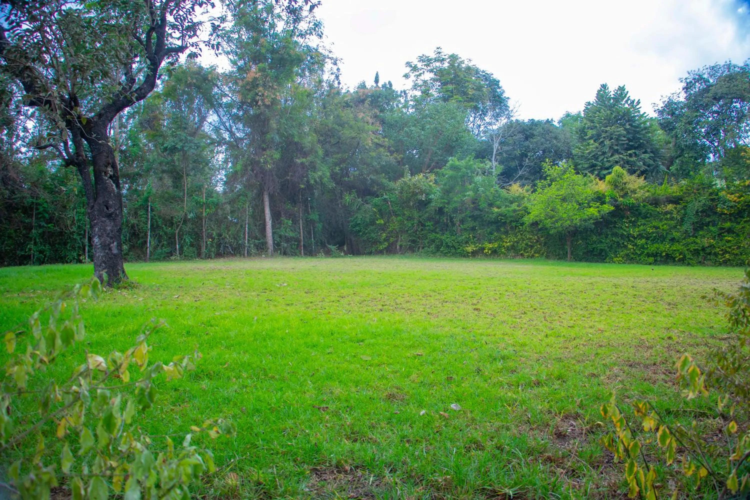 Garden in Endasawa Tree Lodge