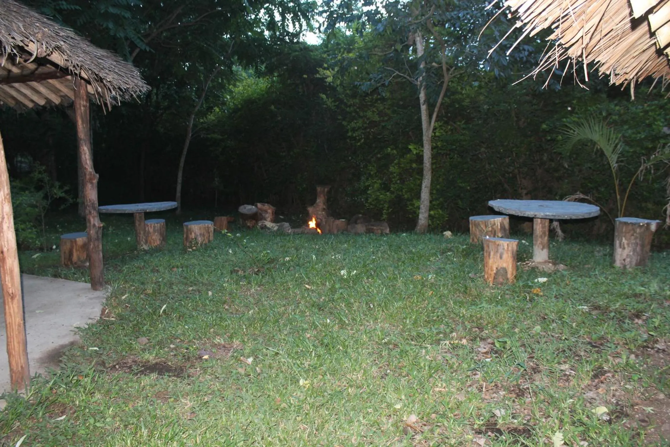 Garden in Endasawa Tree Lodge