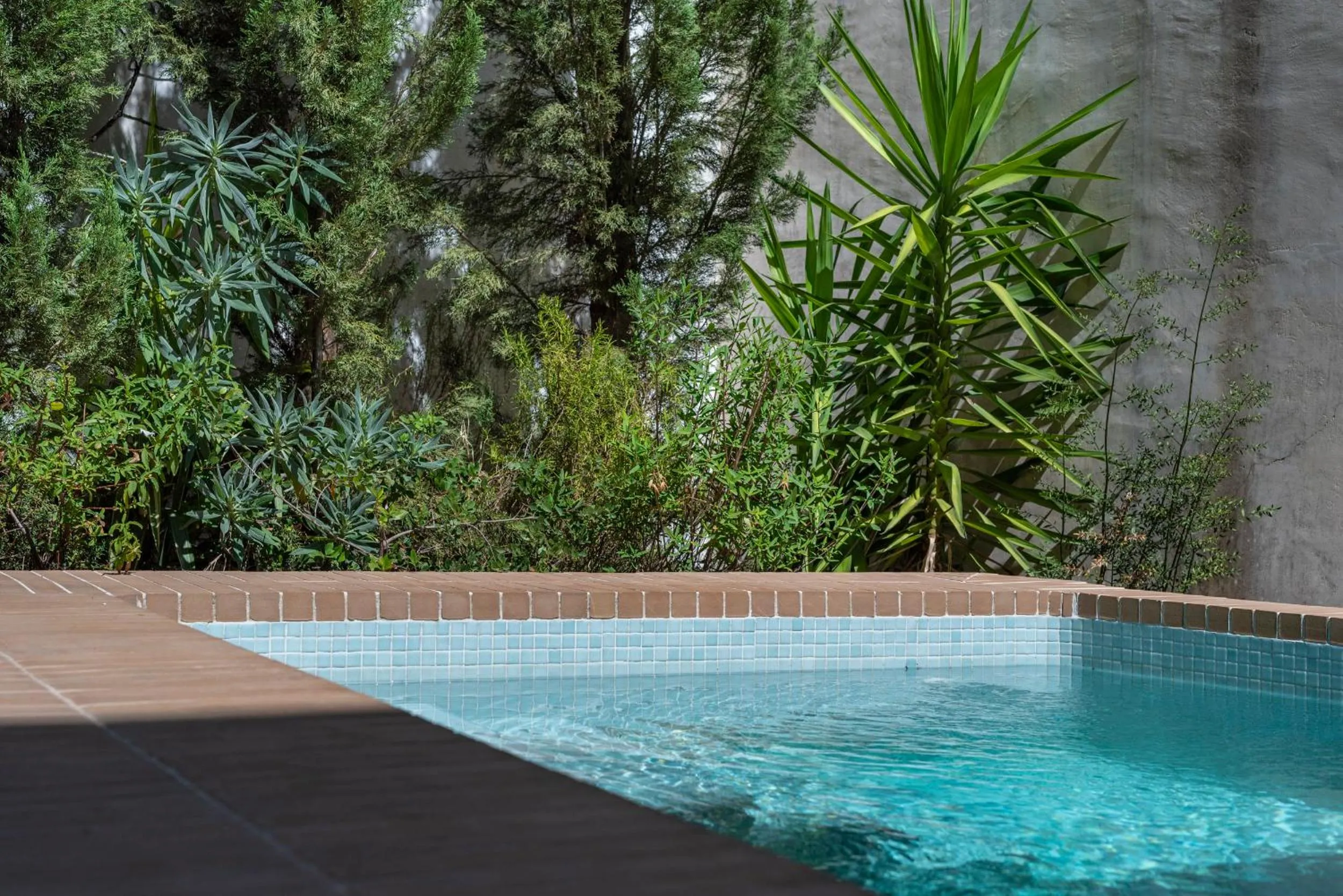 Swimming pool in Casa Morgado Esporao