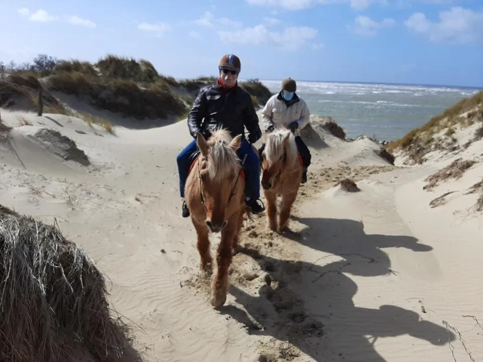 Horse-riding in L Imperatrice