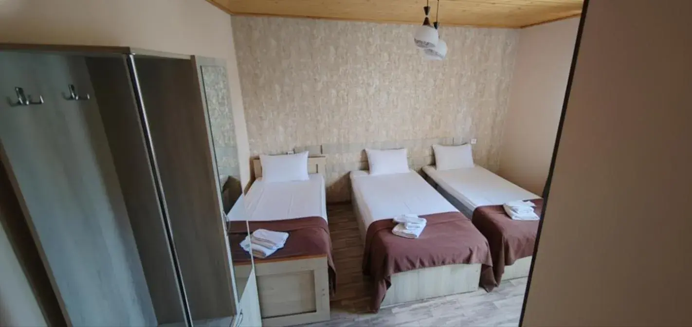 Basic Triple Room in Hotel Svanseti Basic Triple Room in Hotel Svanseti