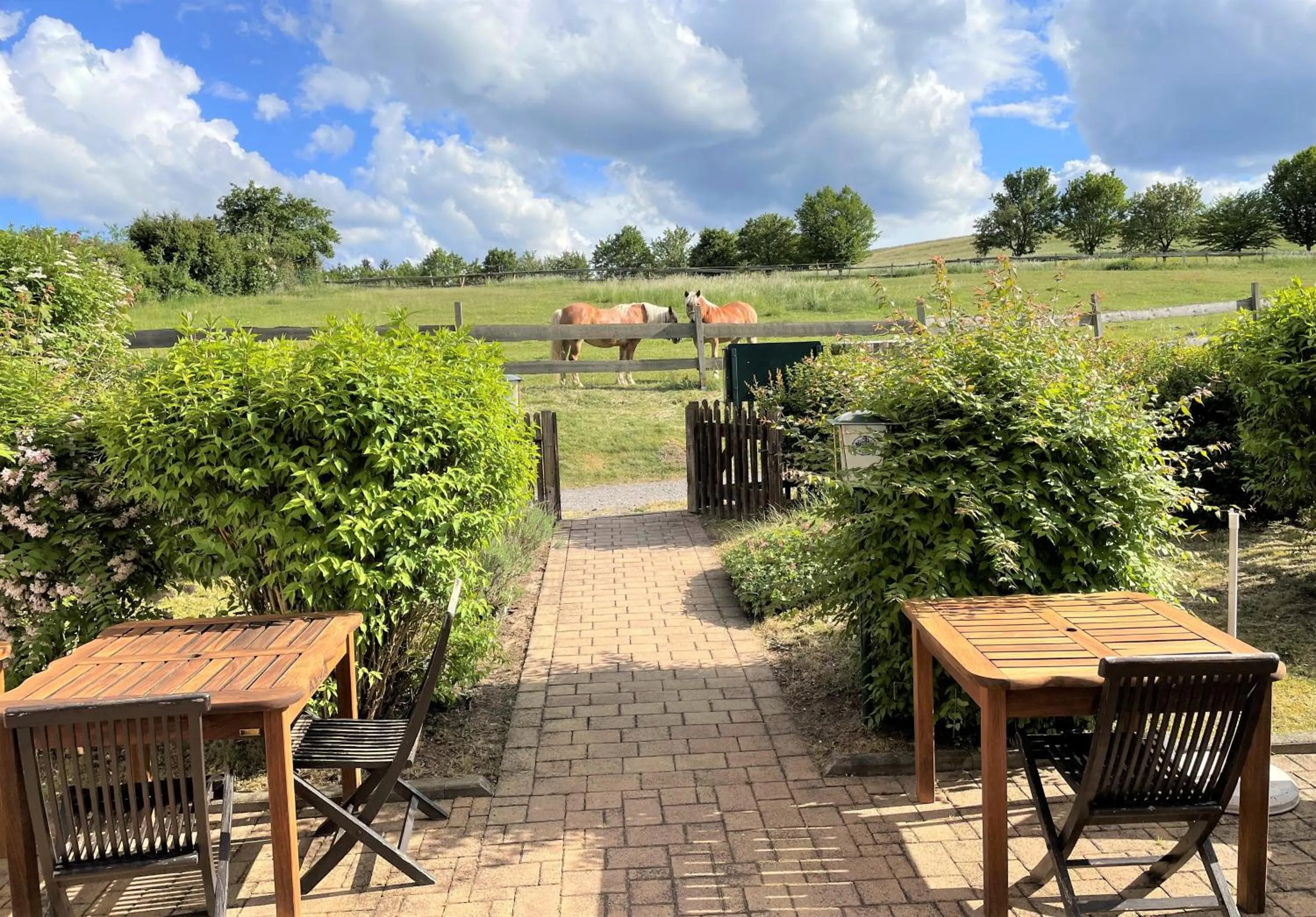 Balcony/Terrace in Hotel Hammermühle