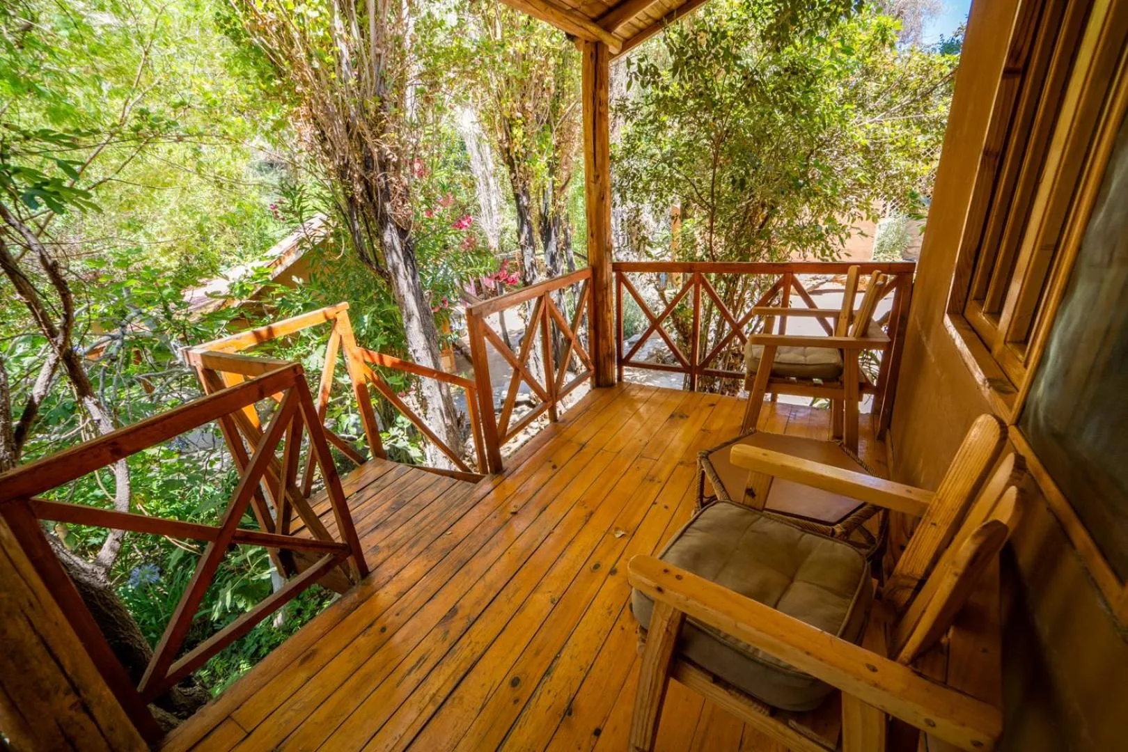 View (from property/room) in Hotel El Tesoro de Elqui