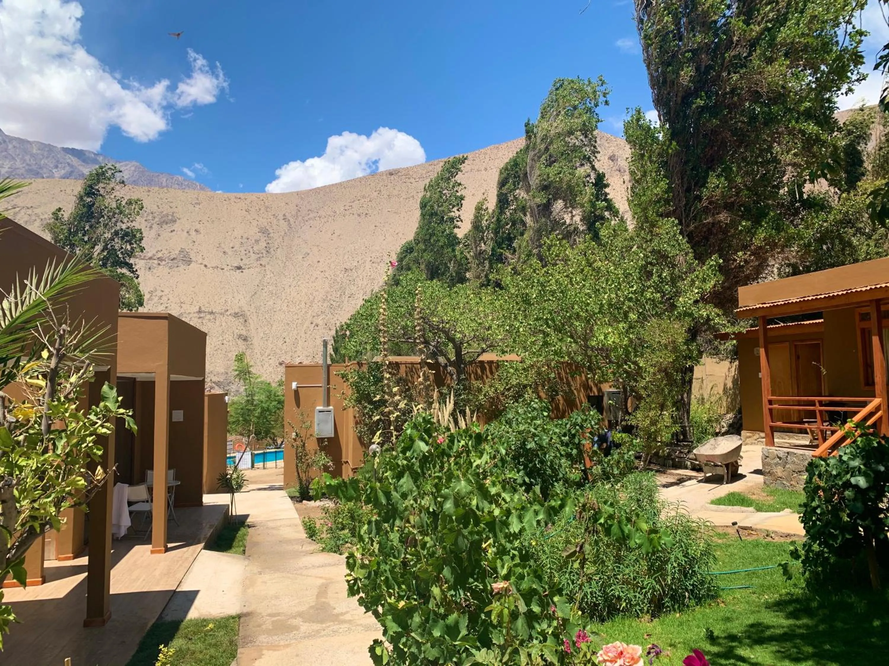 Garden in Hotel El Tesoro de Elqui