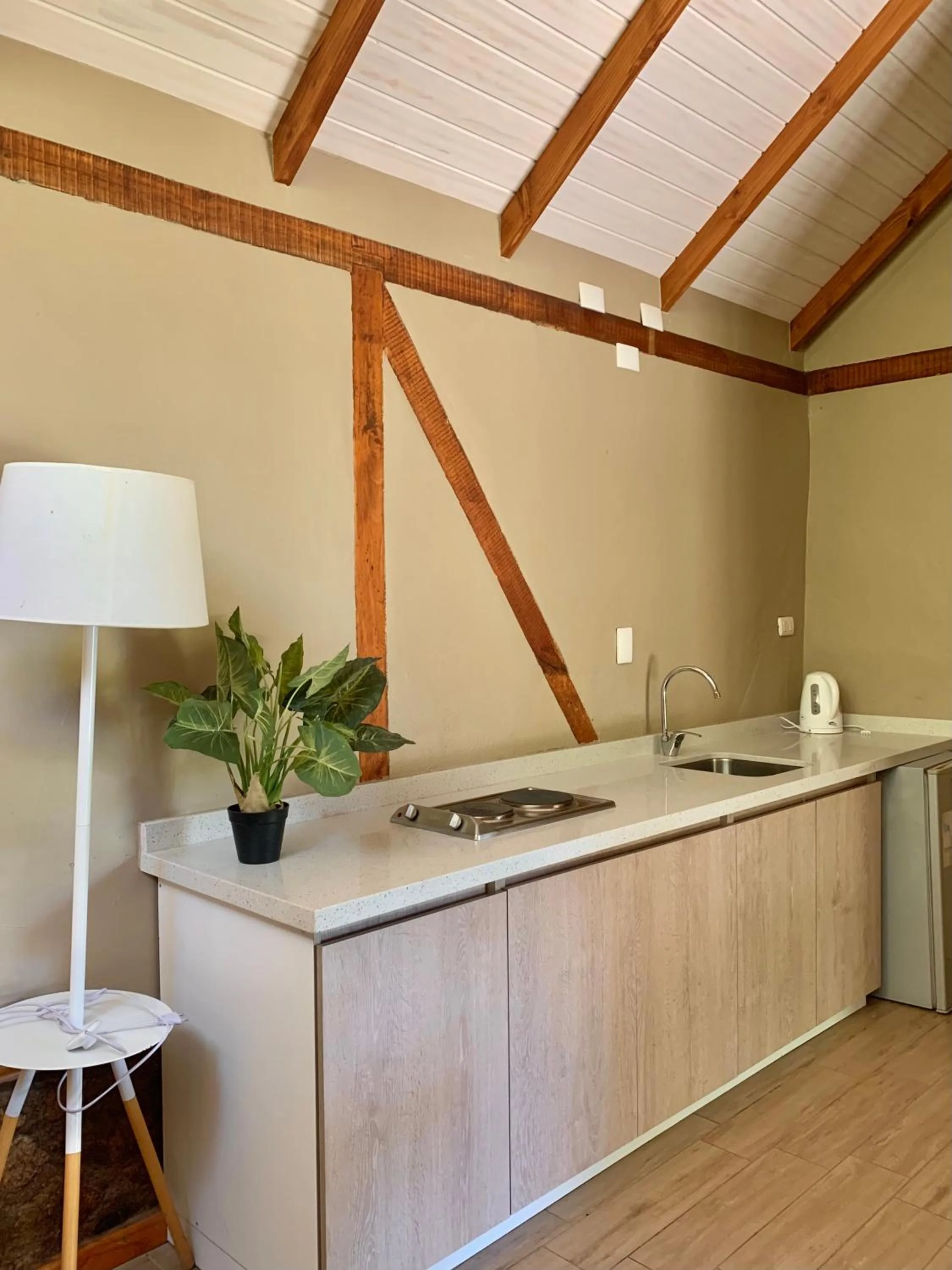 Kitchen or kitchenette in Hotel El Tesoro de Elqui