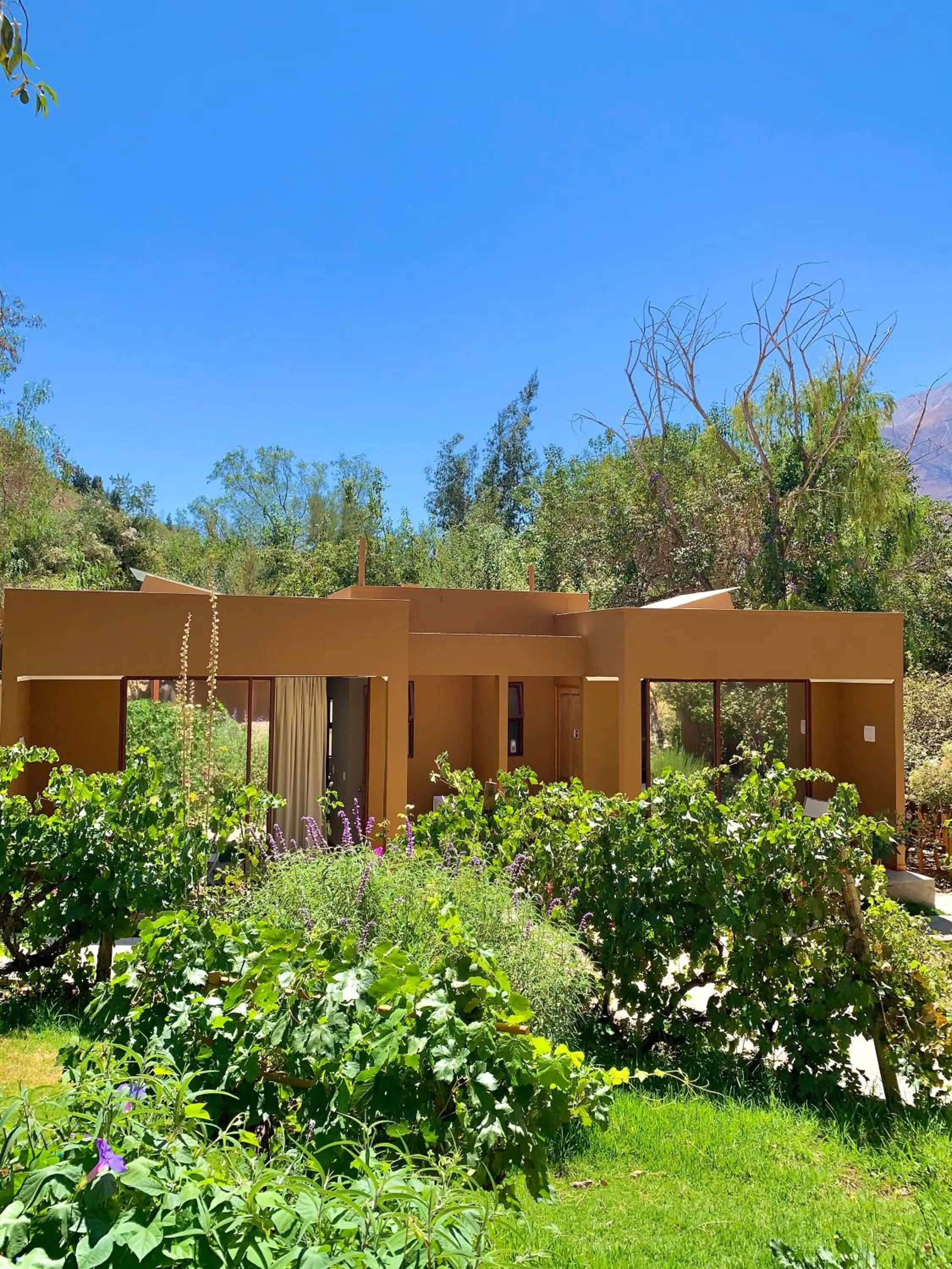 Natural landscape in Hotel El Tesoro de Elqui