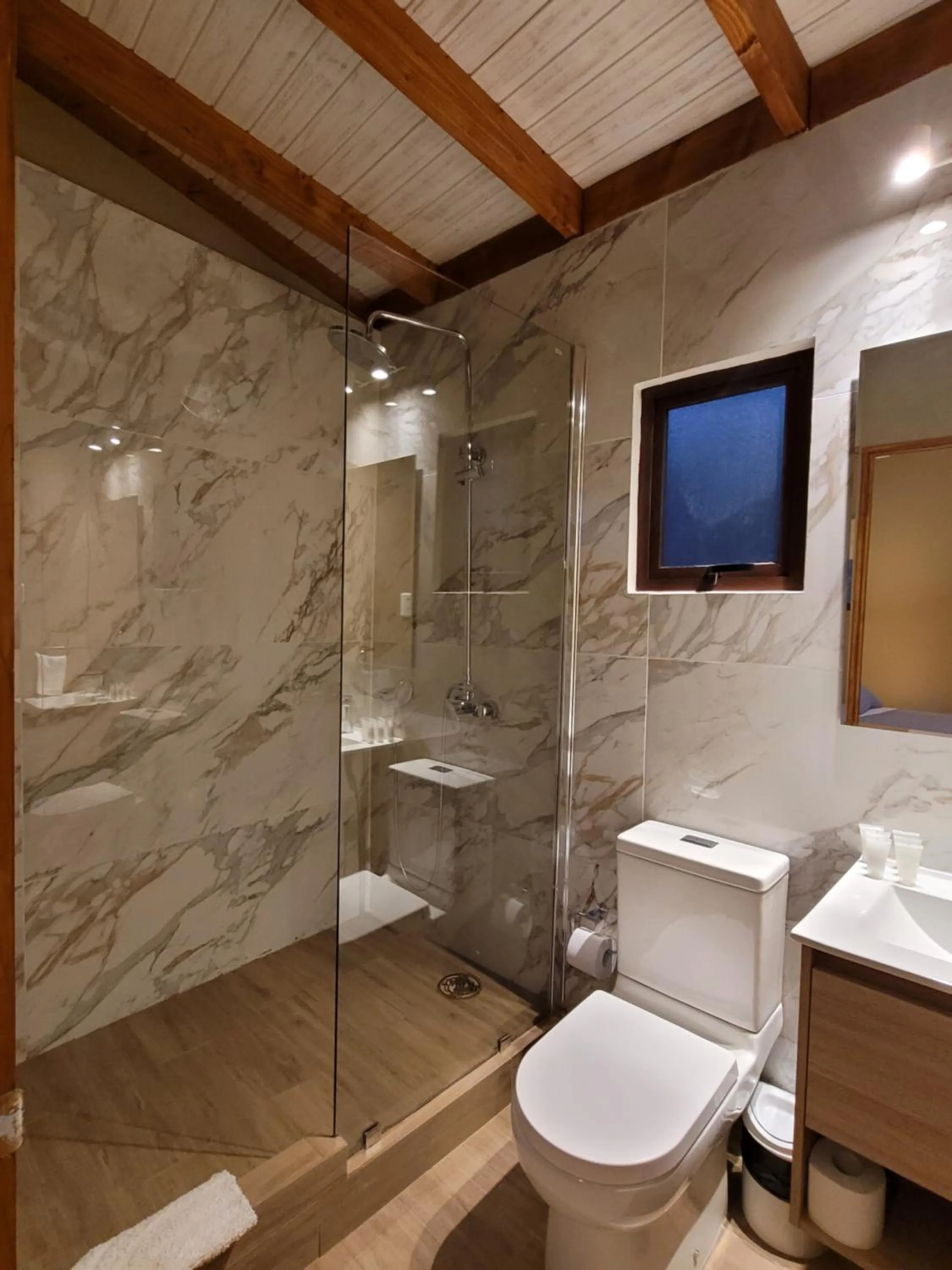 Toilet in Hotel El Tesoro de Elqui