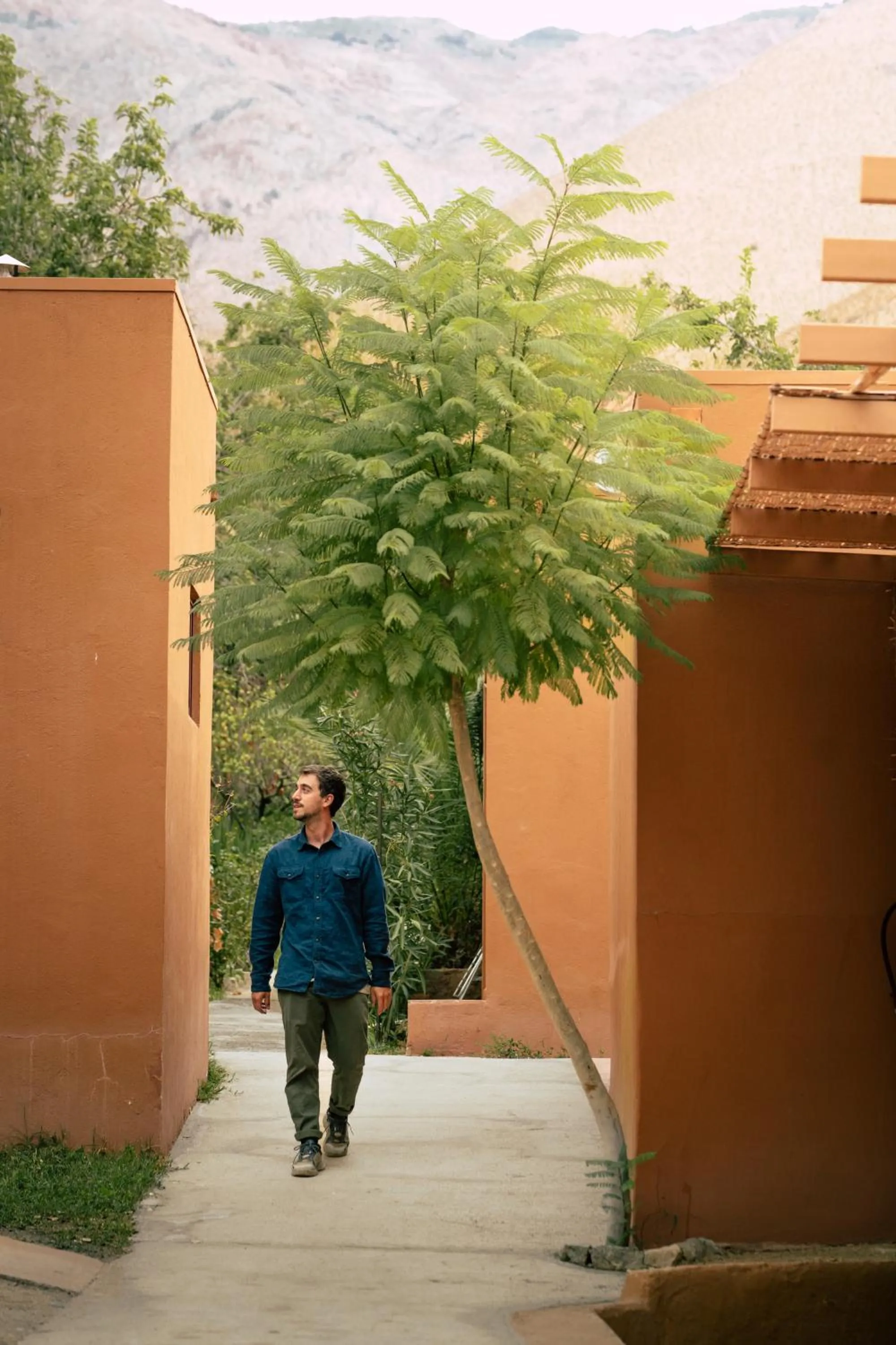 Property building in Hotel El Tesoro de Elqui