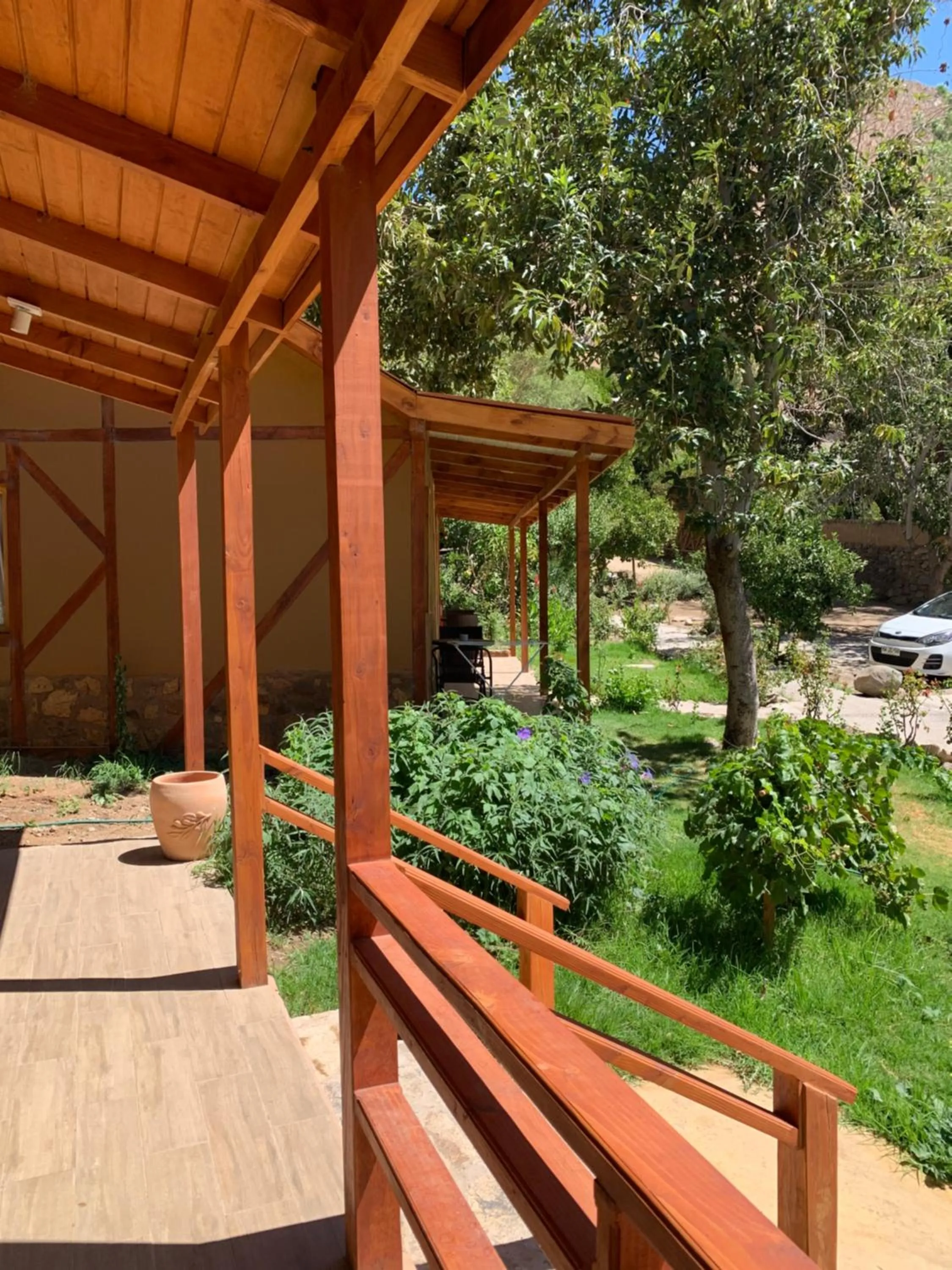 Garden in Hotel El Tesoro de Elqui