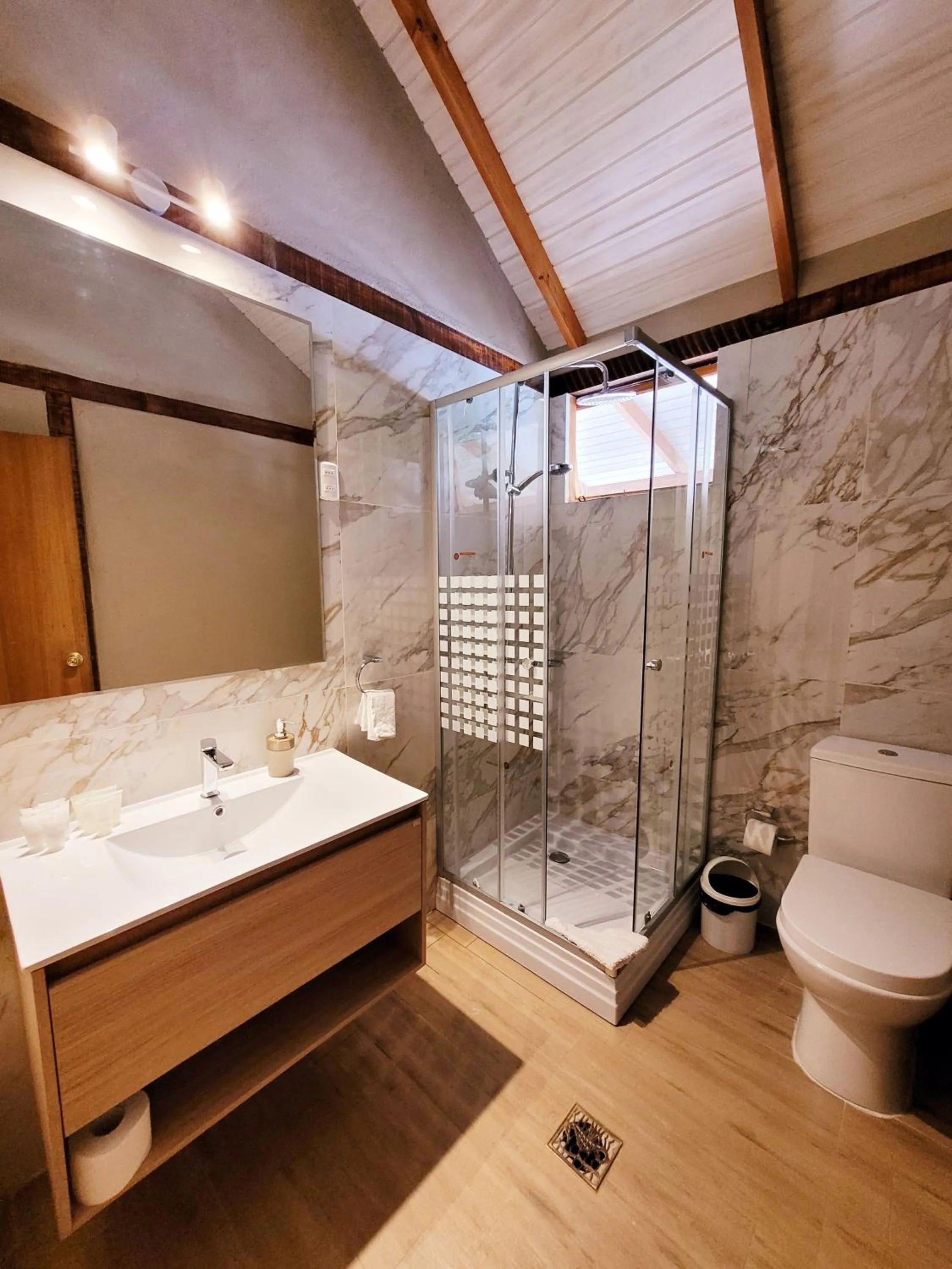 Toilet in Hotel El Tesoro de Elqui