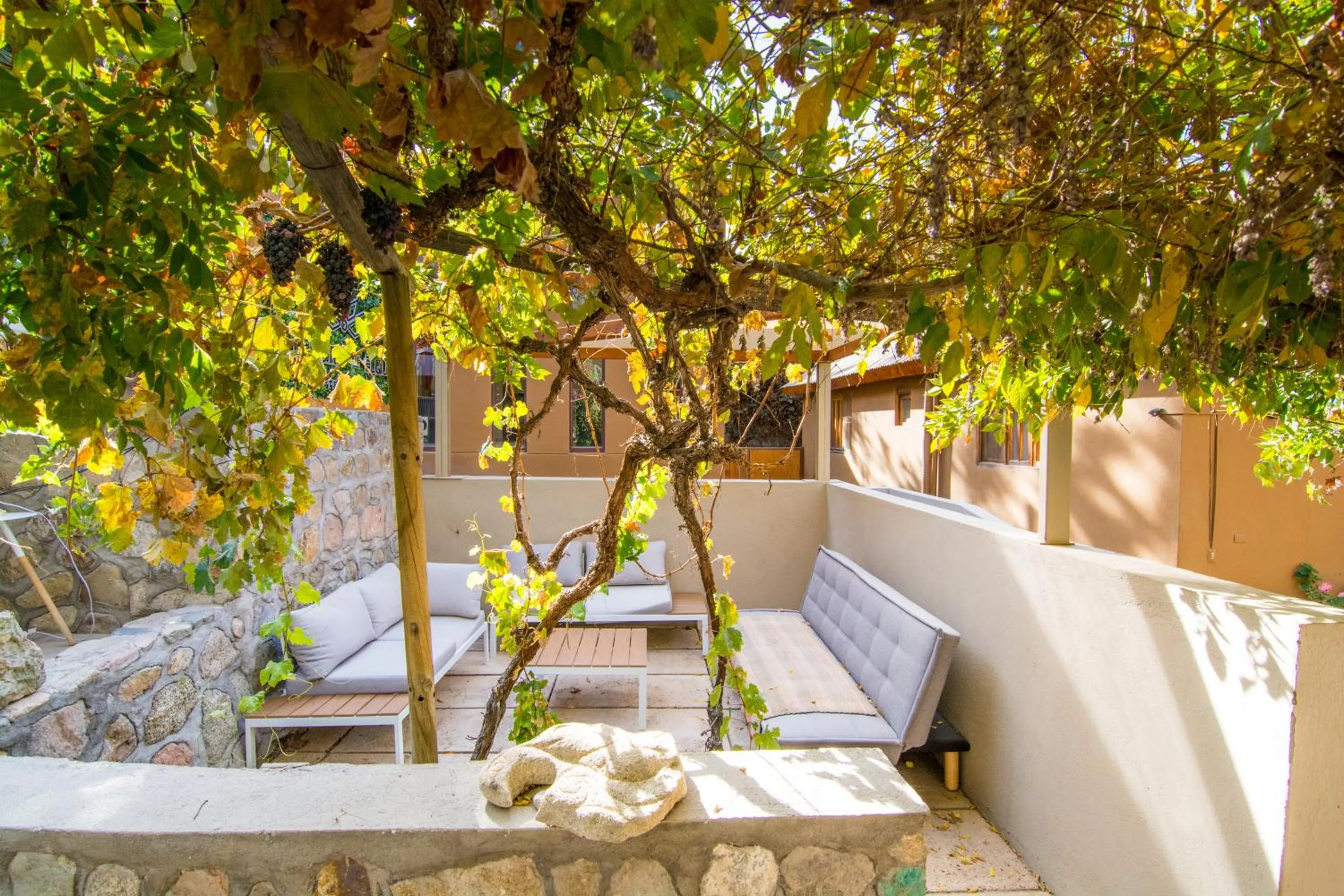 Balcony/Terrace in Hotel El Tesoro de Elqui