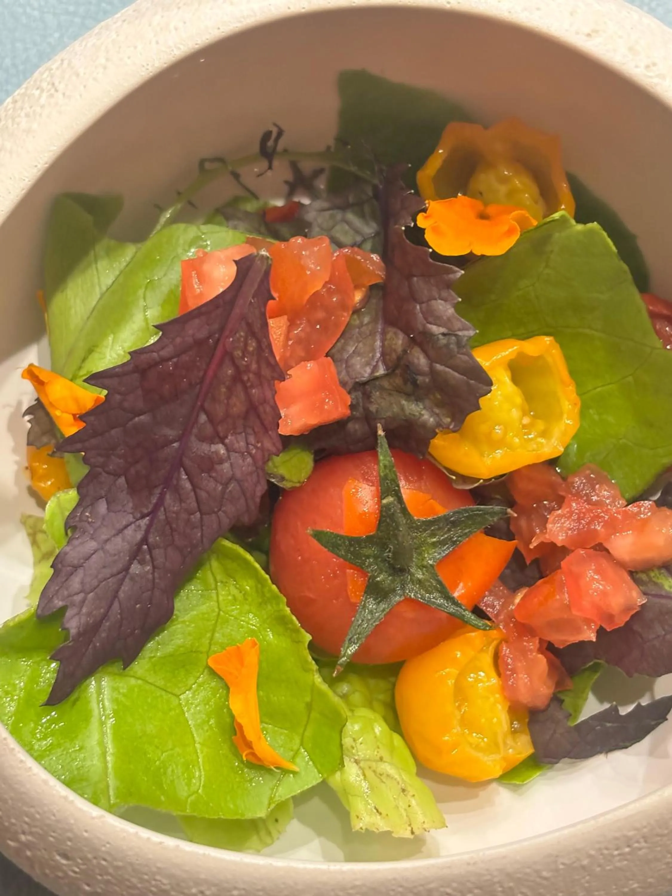 Restaurant/places to eat in Domus Maris Relais Boutique Hotel