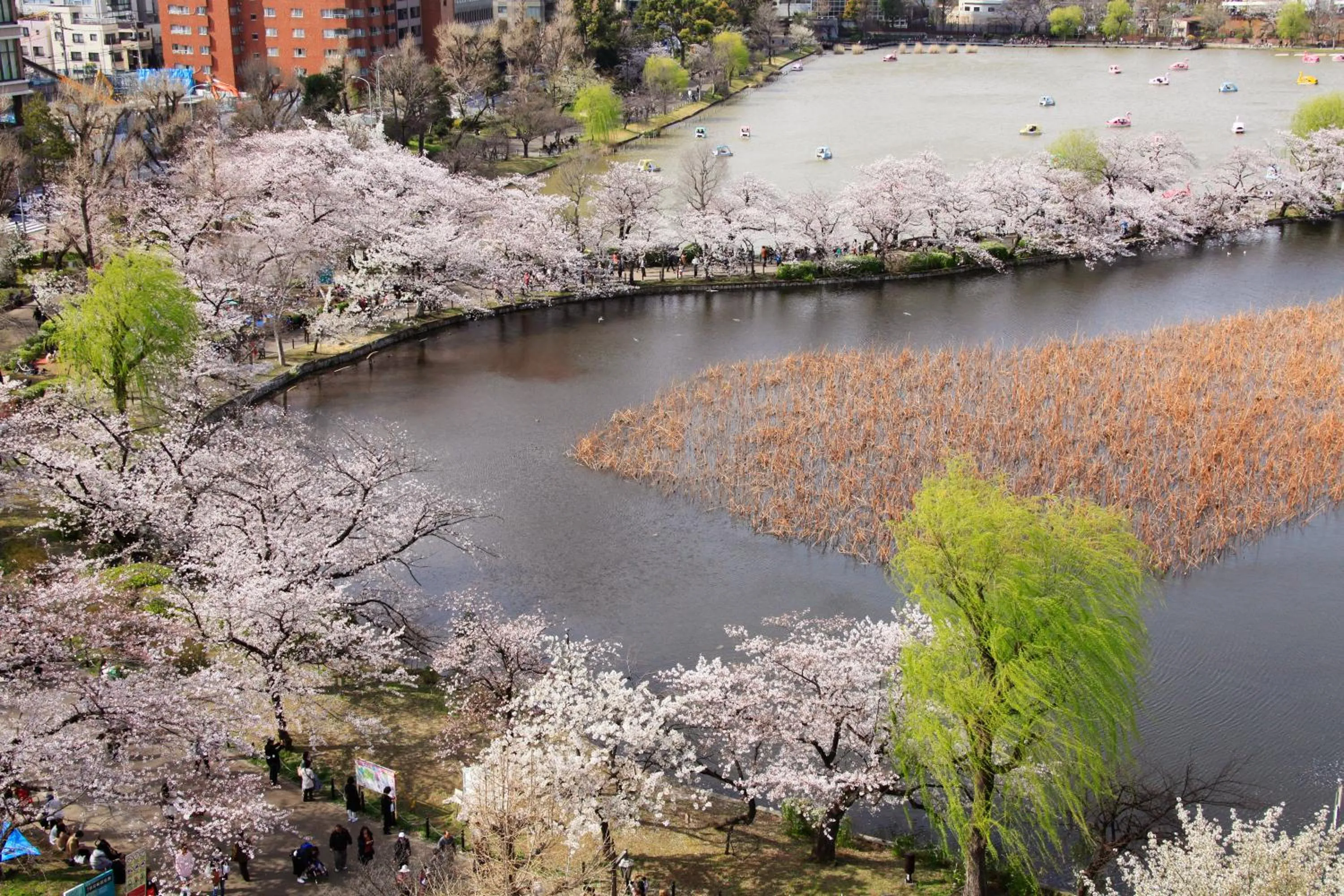 Off site in Centurion Hotel&Spa Ueno Station