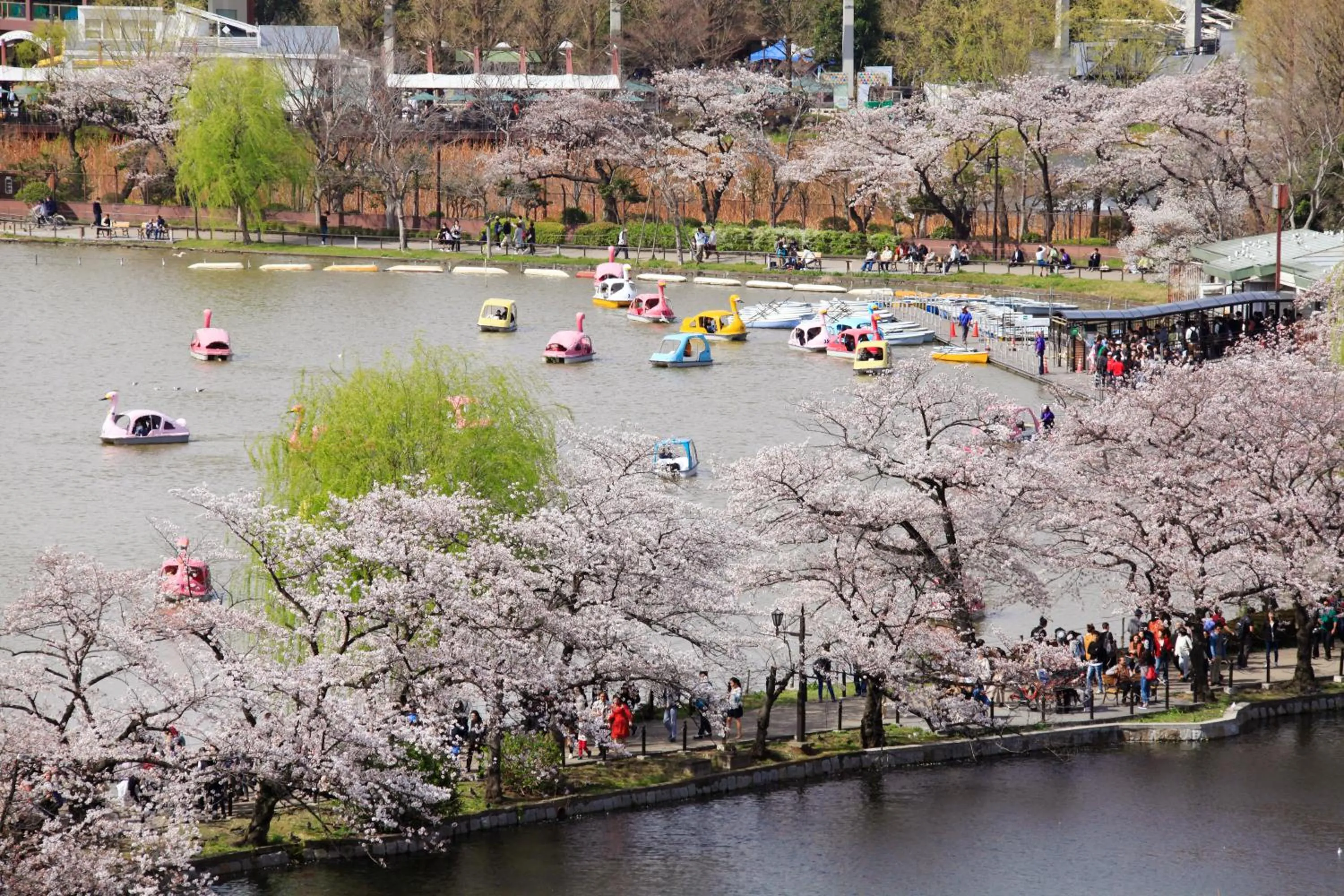 Off site in Centurion Hotel&Spa Ueno Station