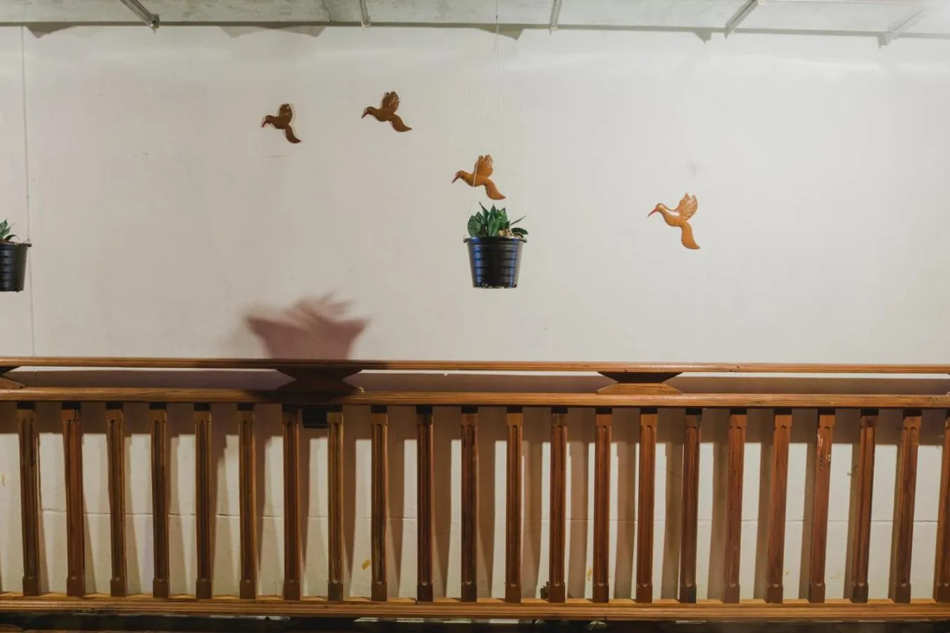 The history cafe' & guesthouse