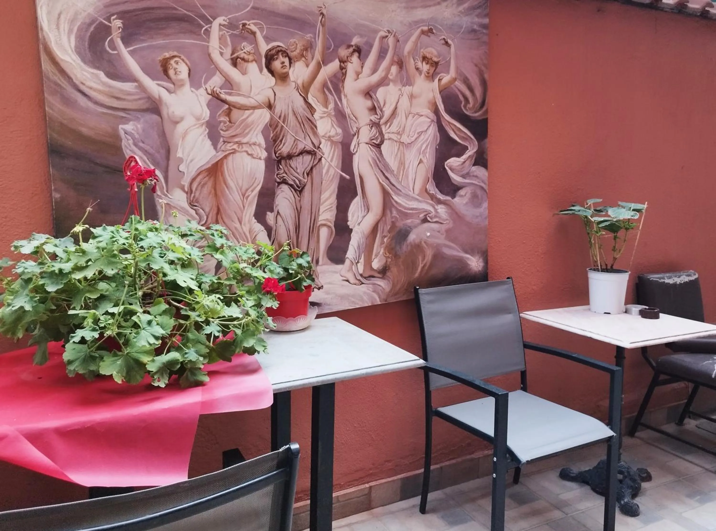 Garden in Alexandria Hotel