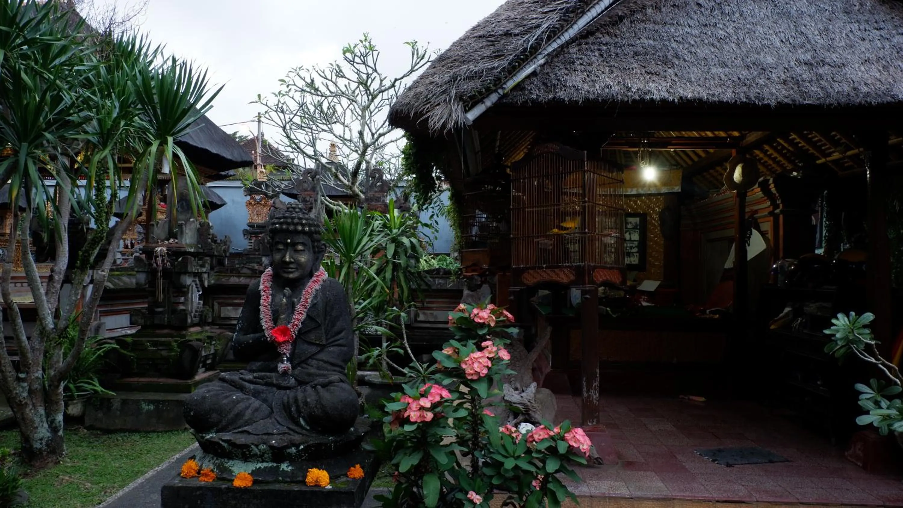 Property building in Hai Homestay