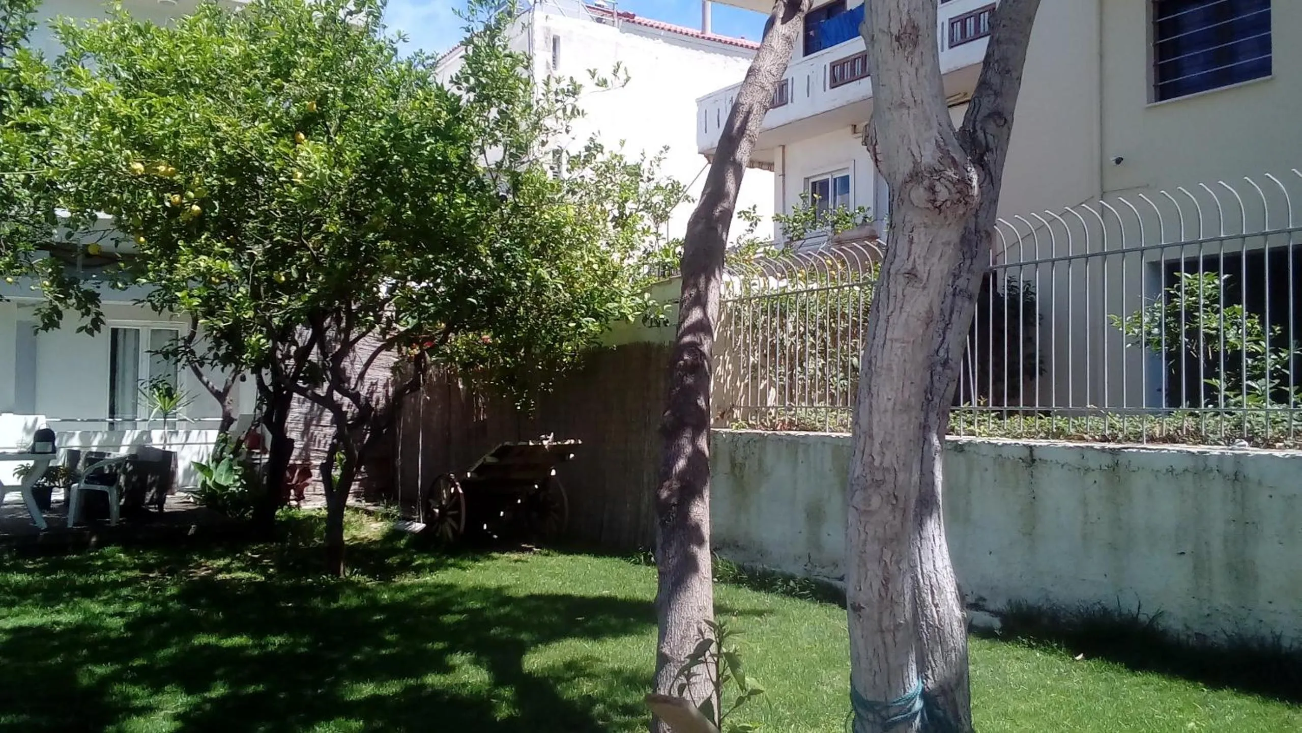 Garden in Beloni Apartments and Studios