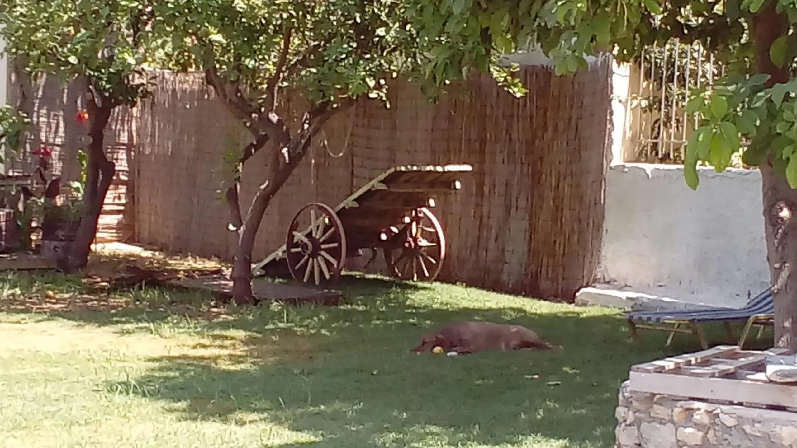 Beloni Apartments and Studios