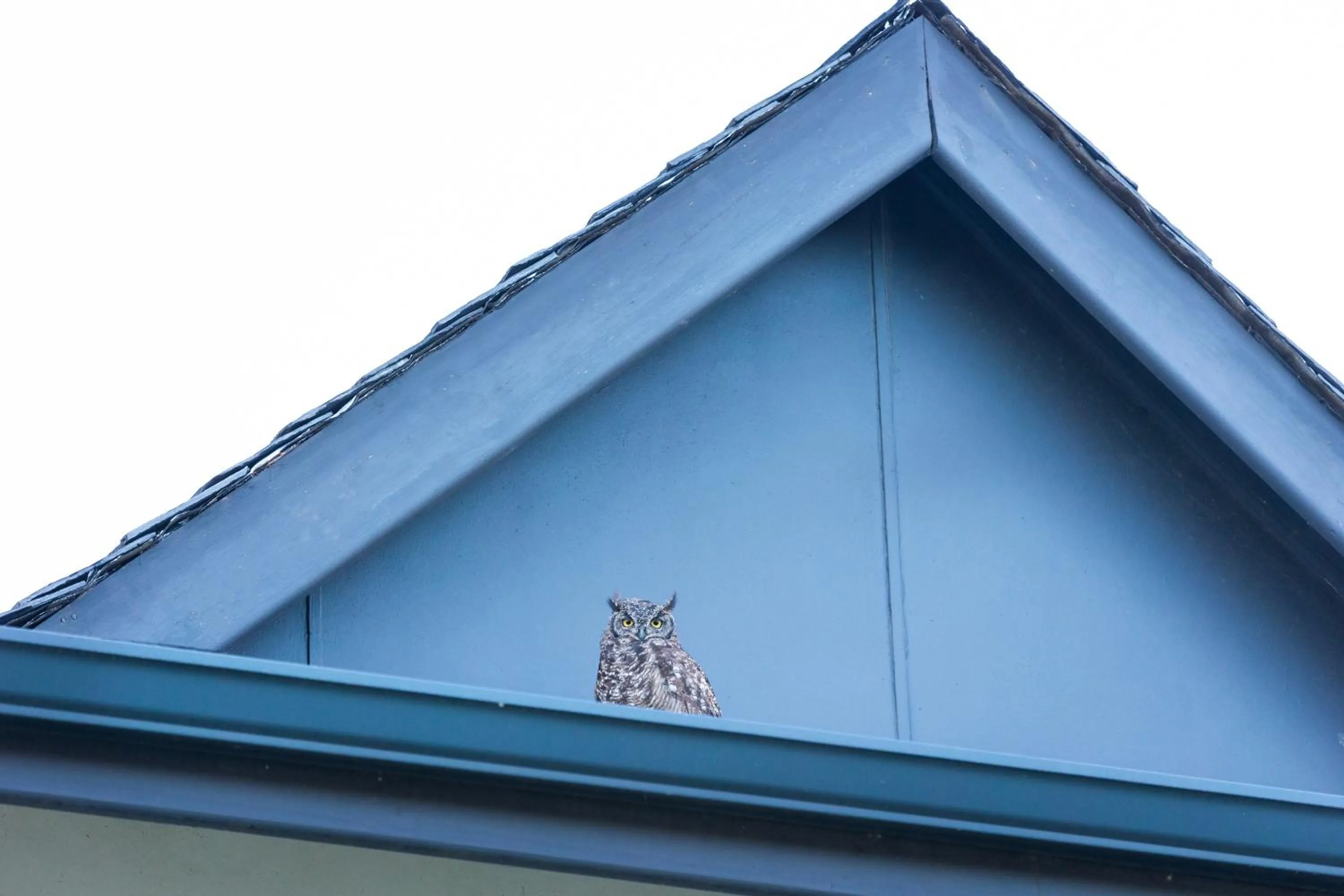 Day in Pearl Valley Hotel