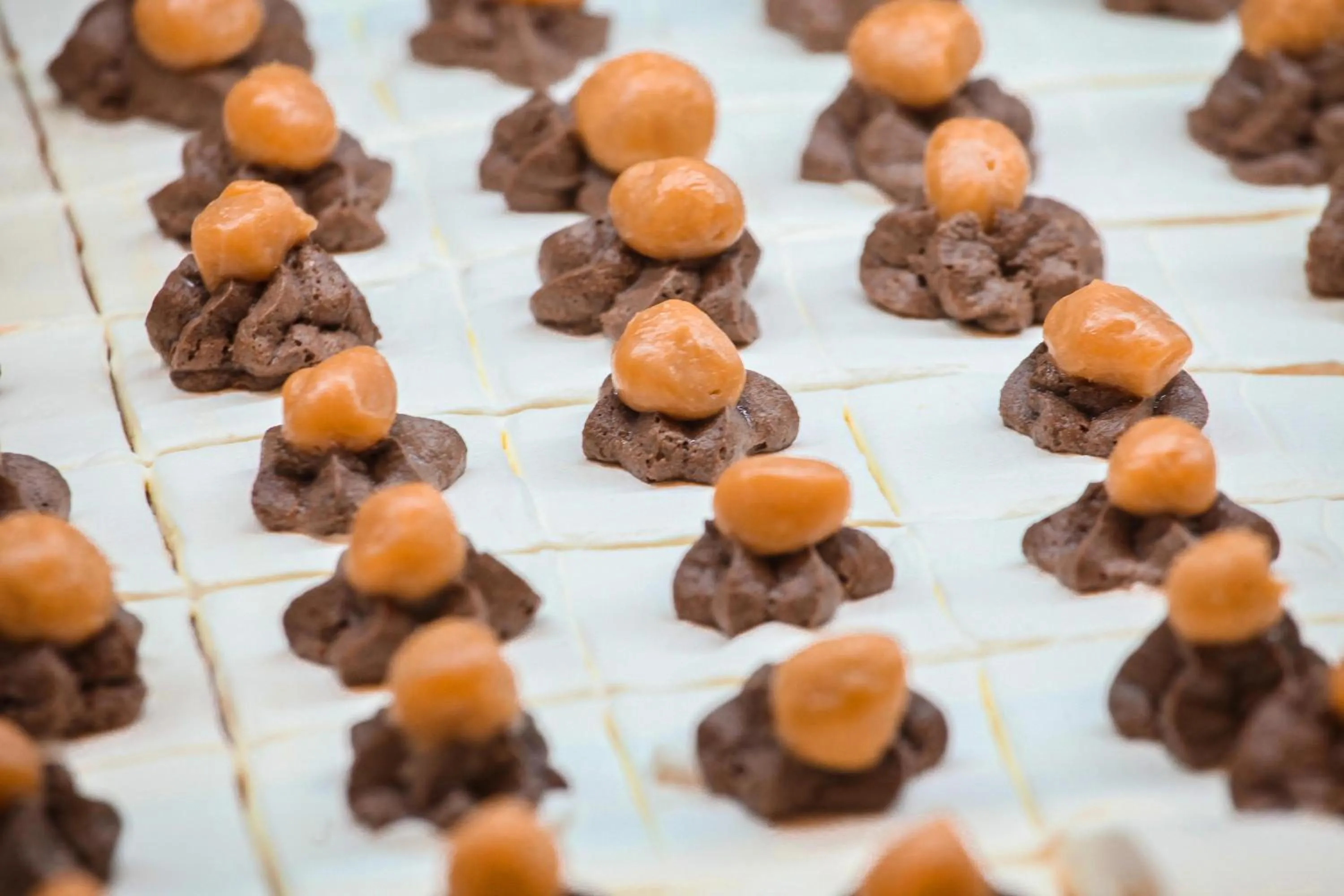 Restaurant/places to eat in Delfinia Resort - All Inclusive