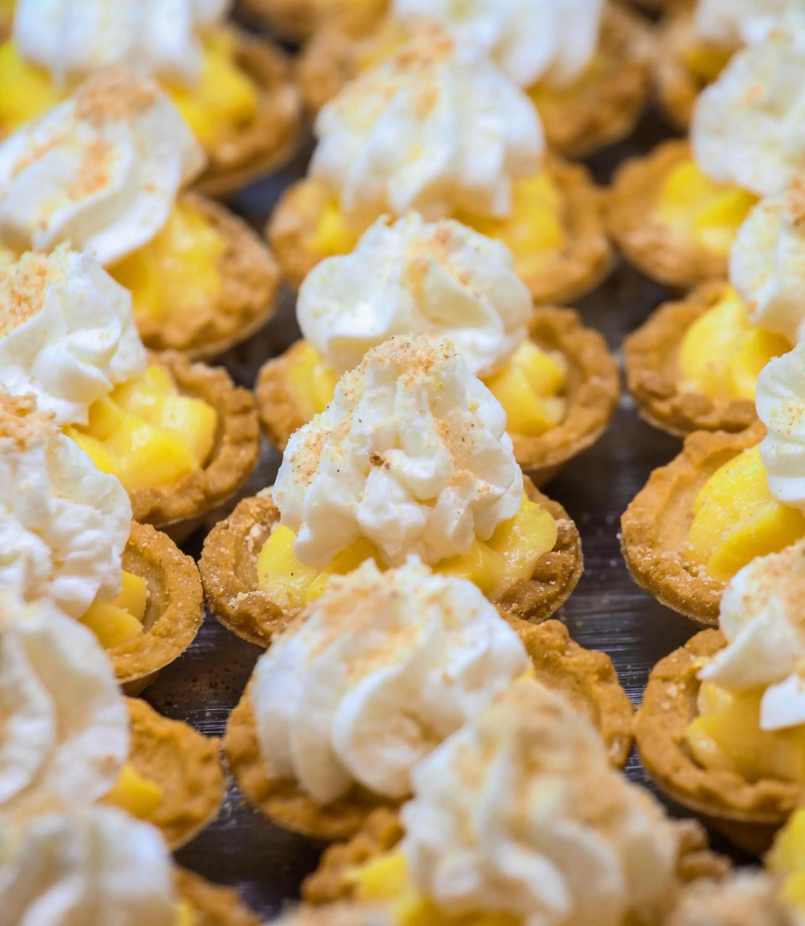 Restaurant/places to eat in Delfinia Resort - All Inclusive