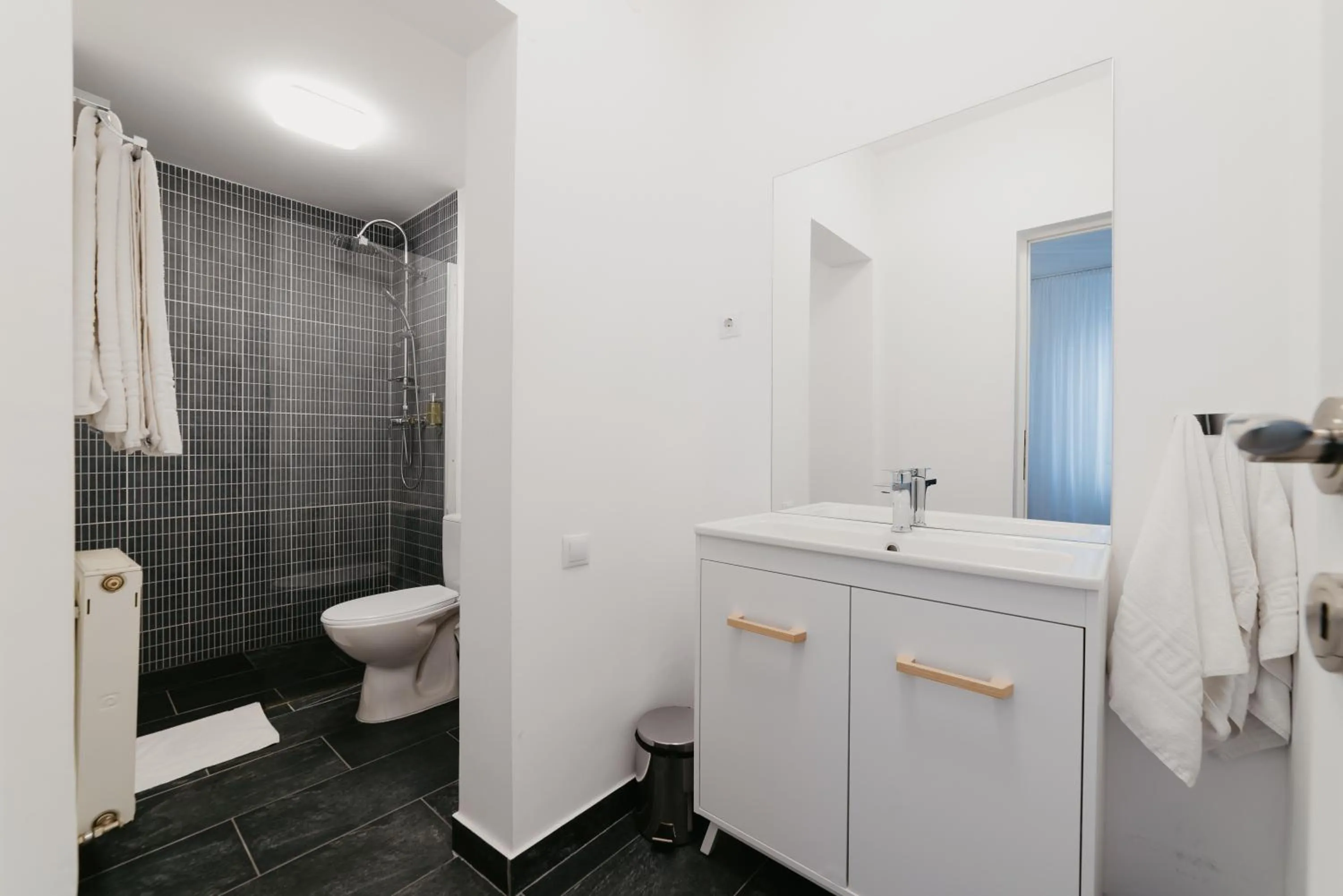 Bathroom in Meteor Central