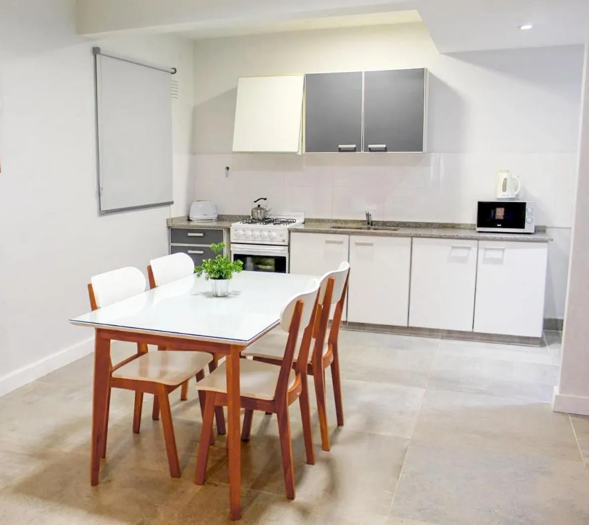 Kitchen or kitchenette in Soltigua Apart Hotel Mendoza