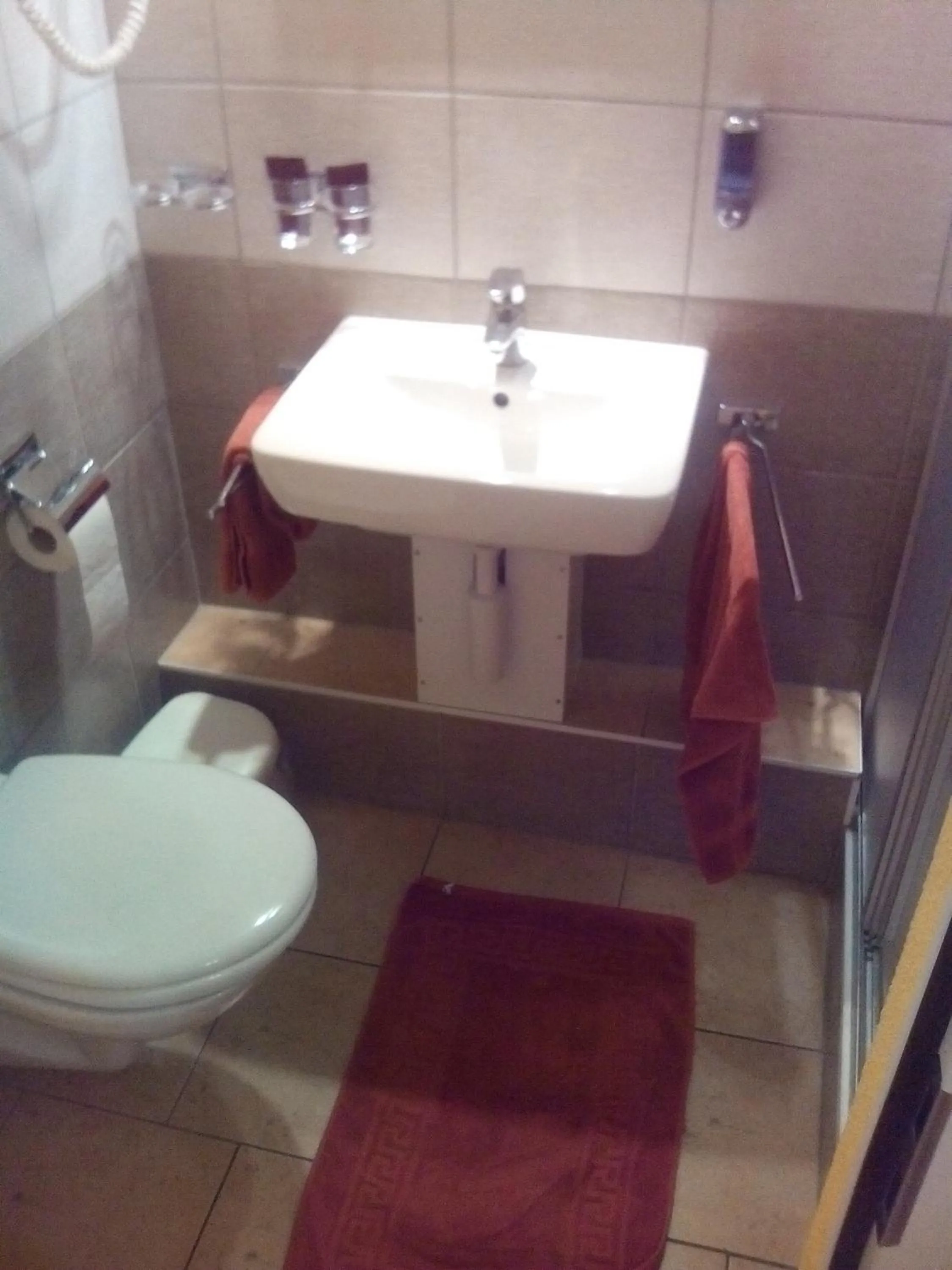 Decorative detail in Hotel Klein Matterhorn