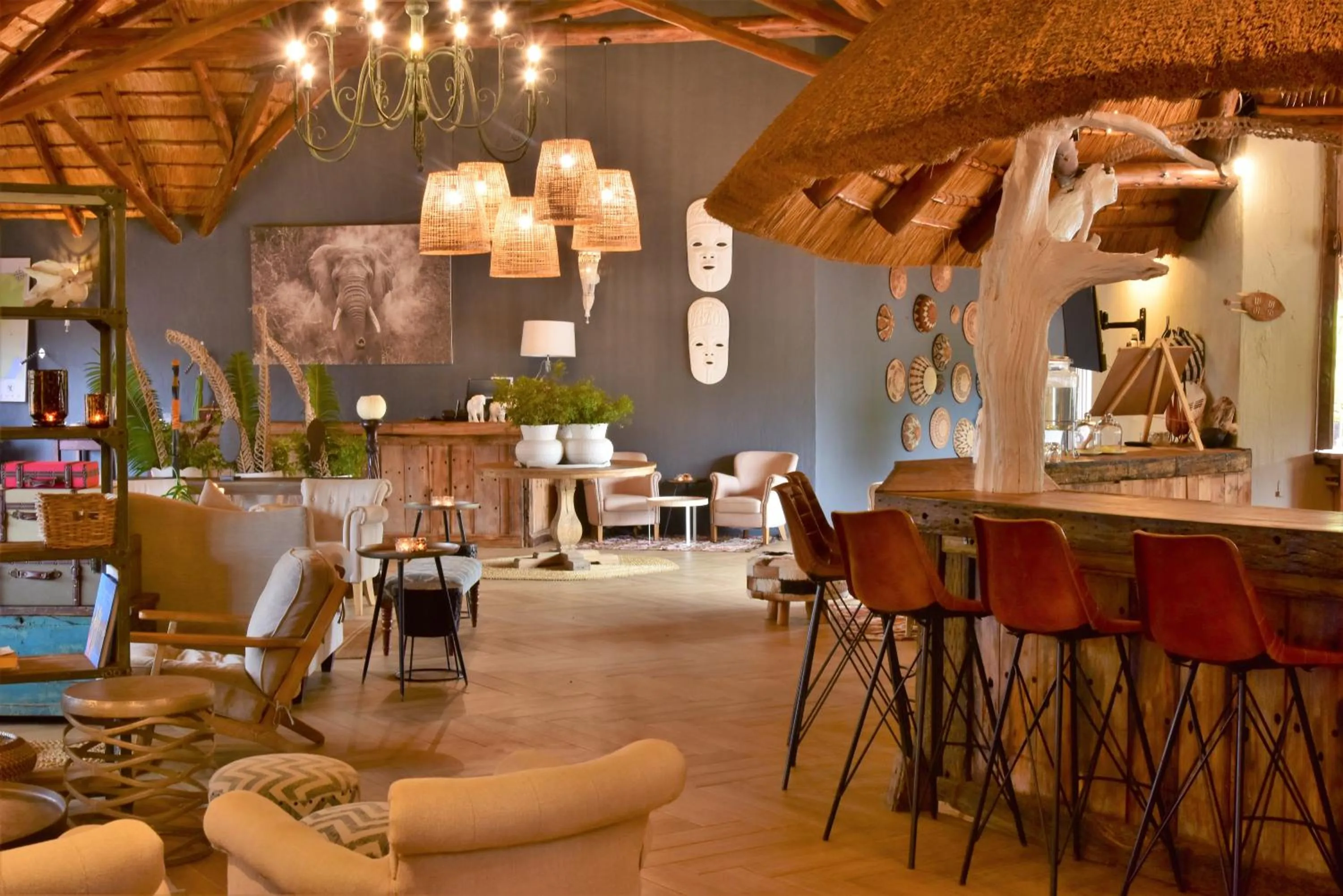 Lounge or bar, Restaurant/Places to Eat in Bayala Private Safari Lodges