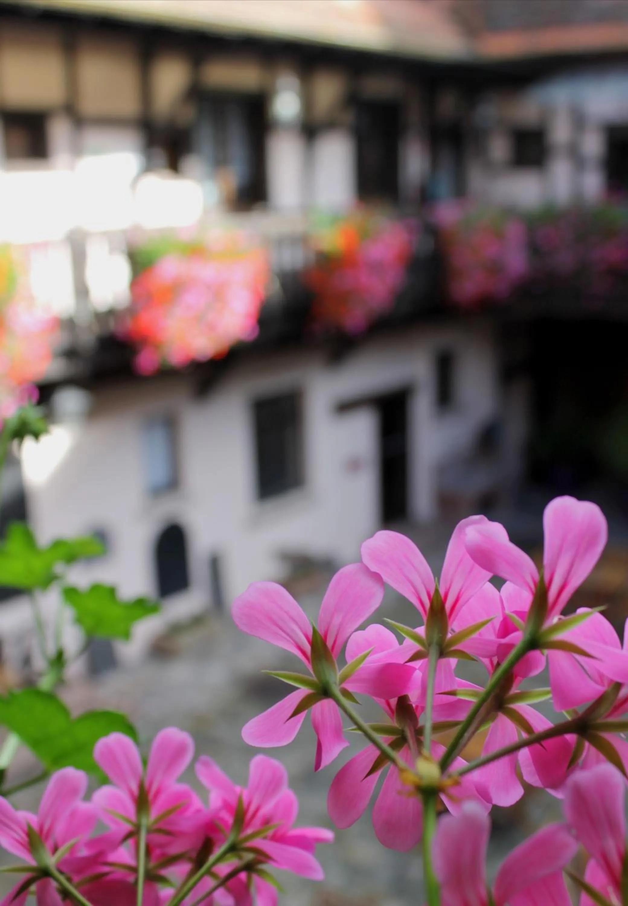 Property building in Le Gouverneur Hotel