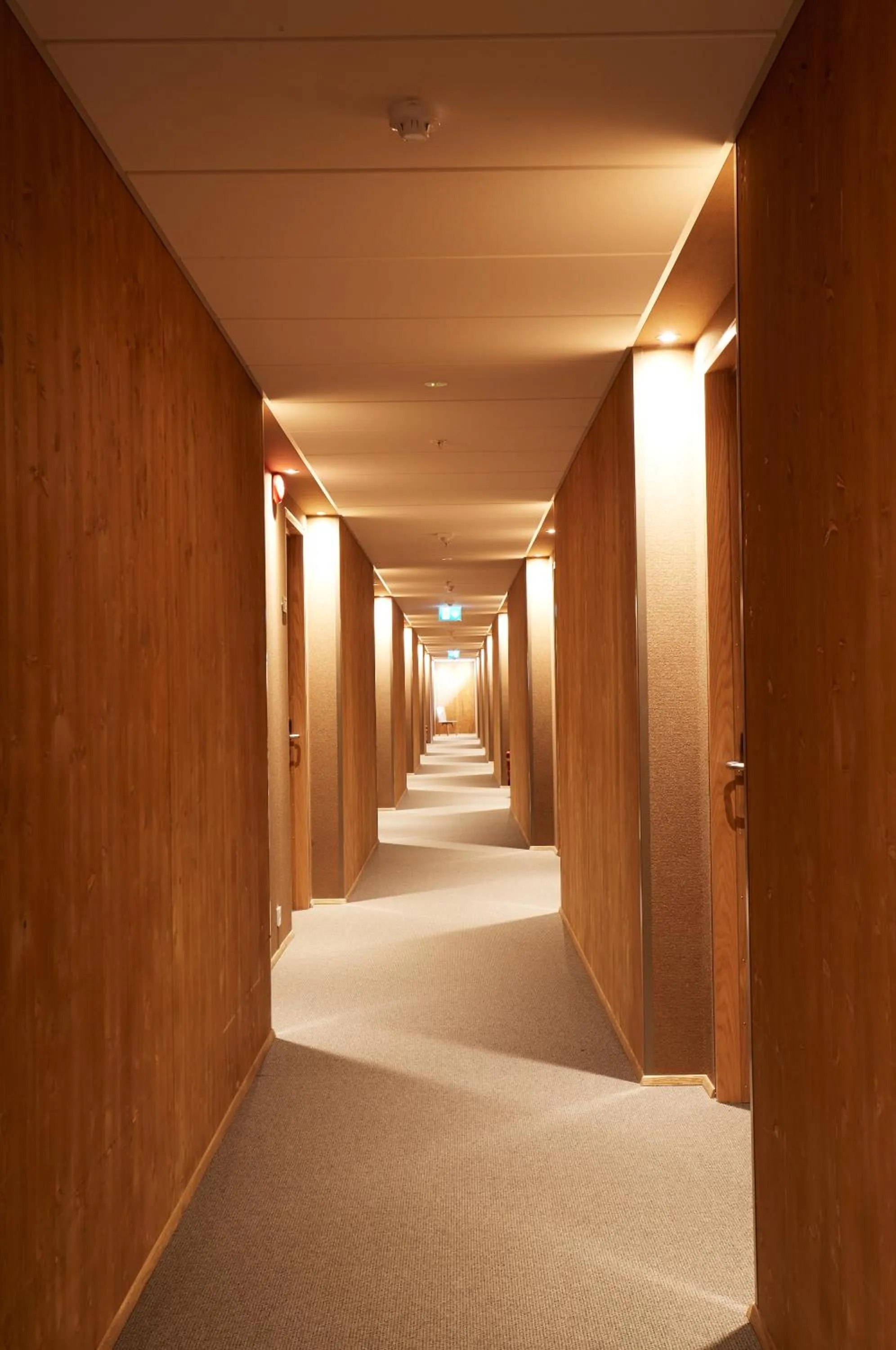 Other in Fosshotel Mývatn