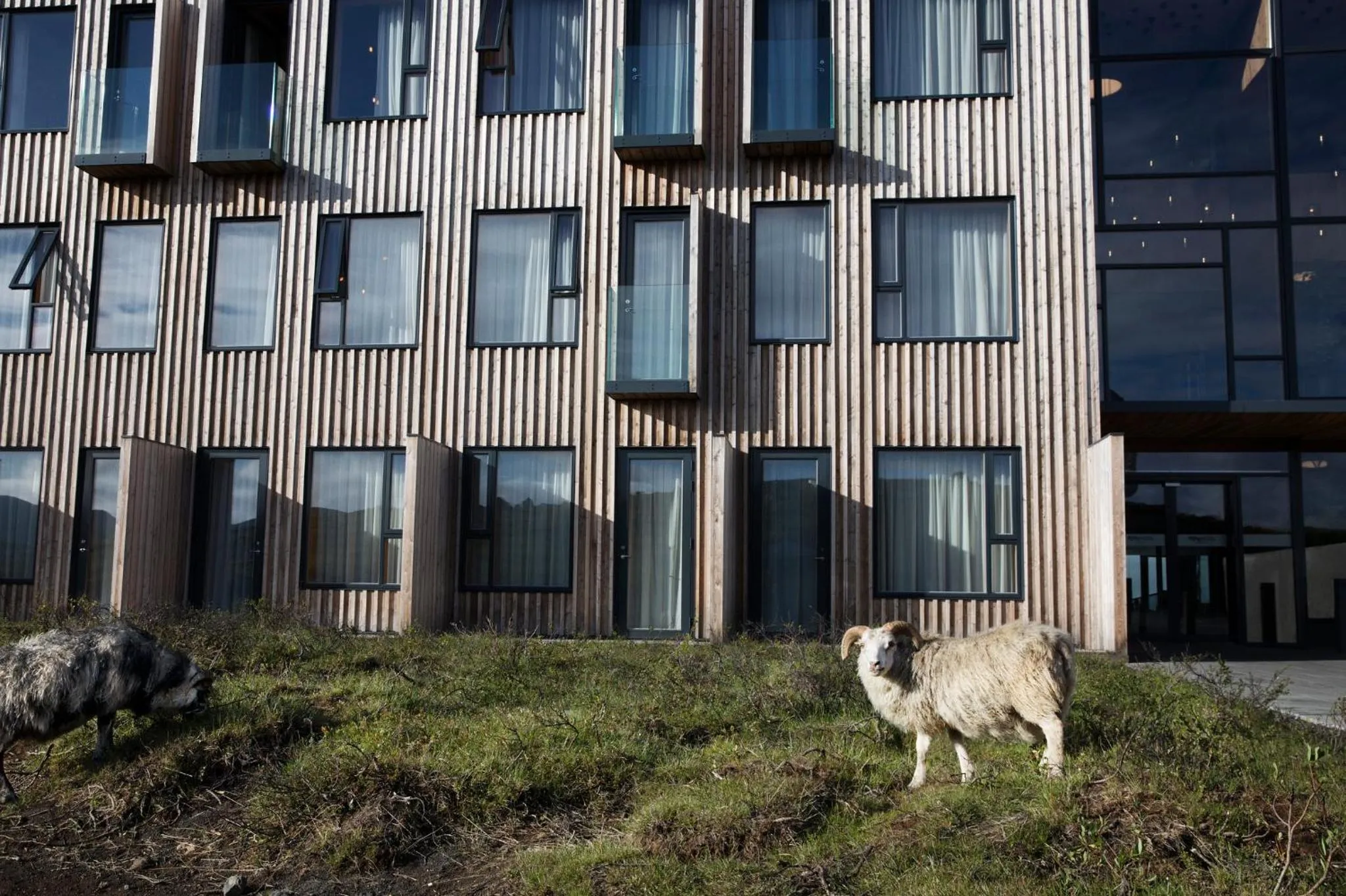 Property building in Fosshotel Mývatn