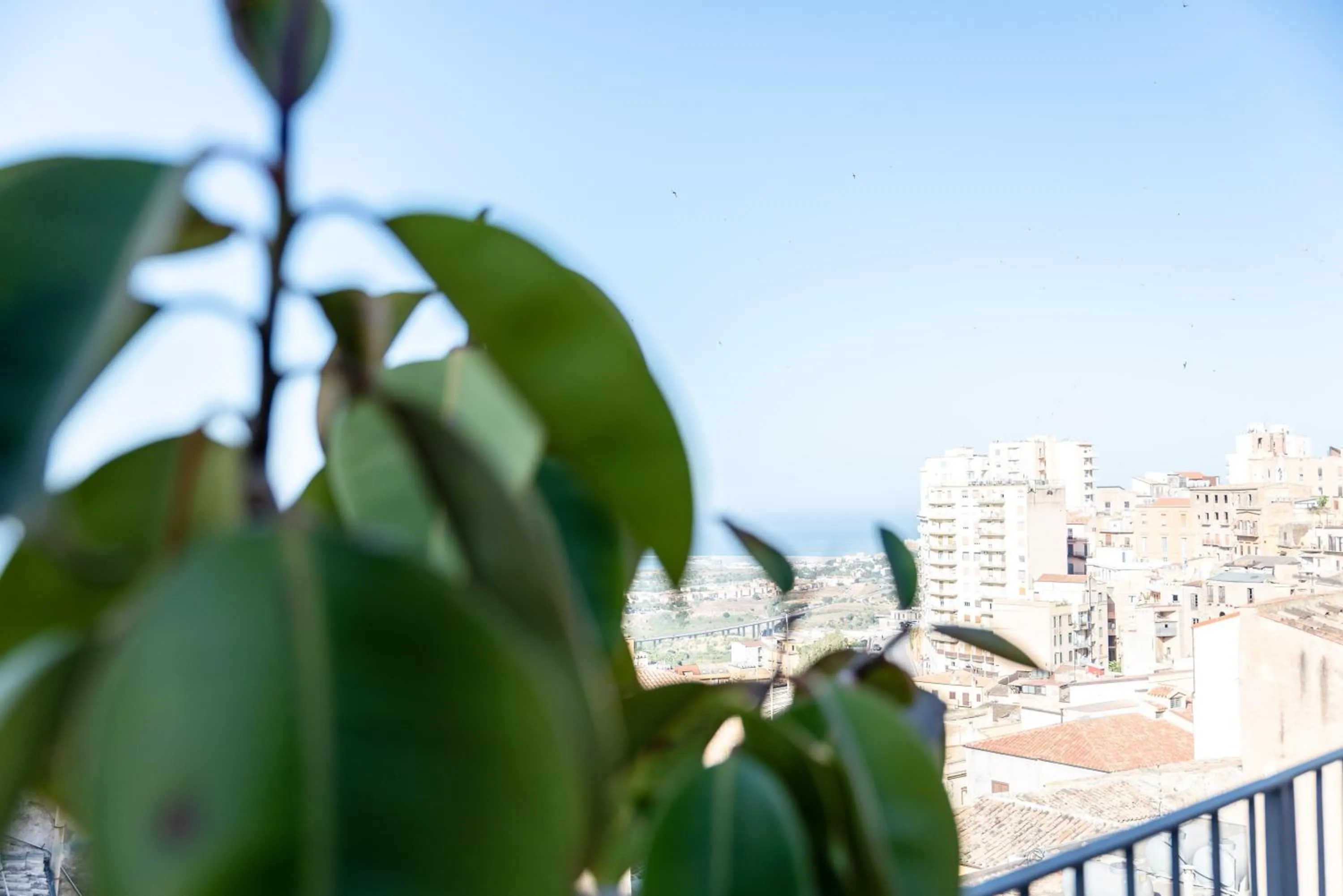 Breakfast in B&B La veranda di Tatta